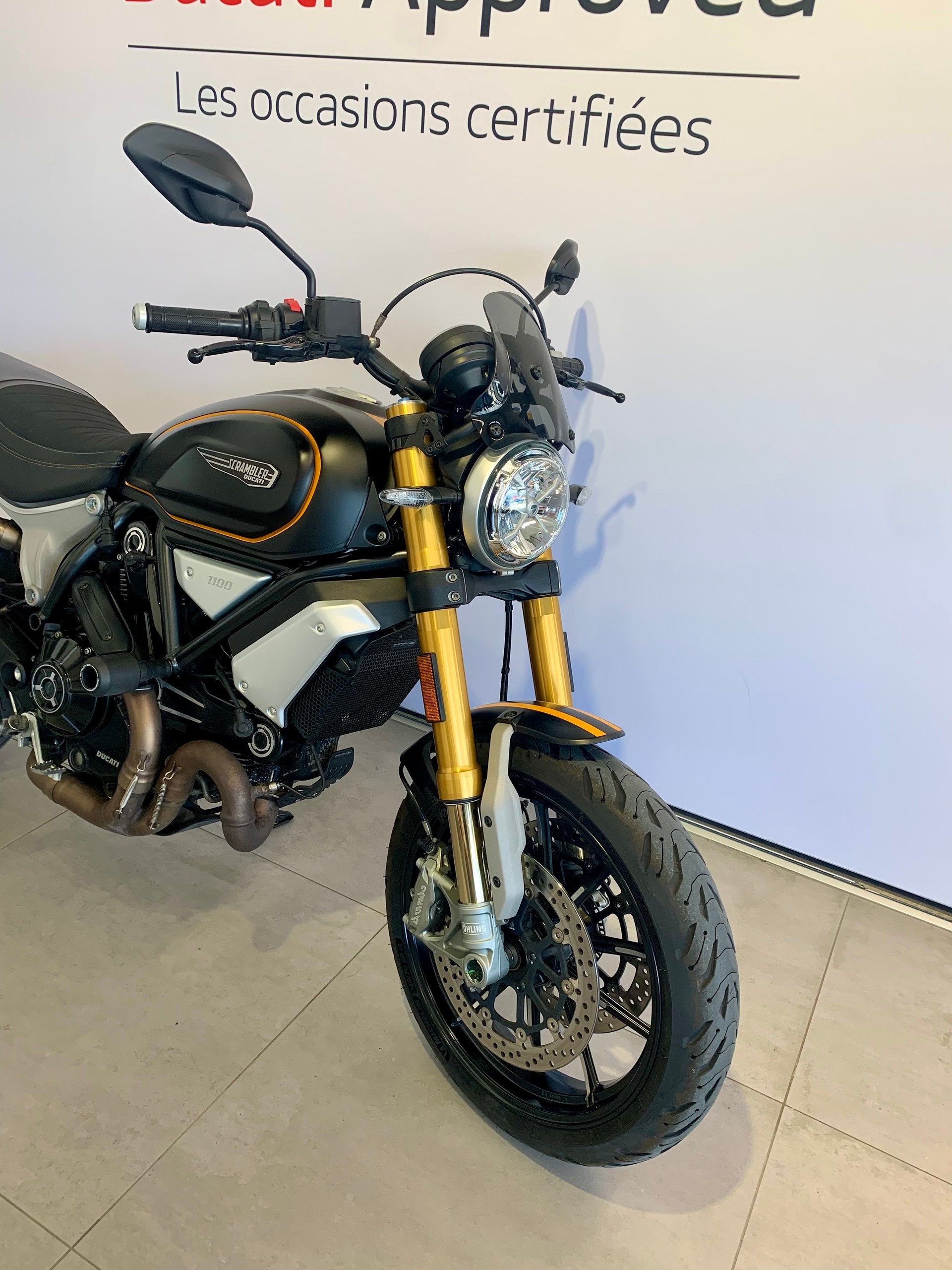 DUCATI Scrambler 1100 Sport-image-3