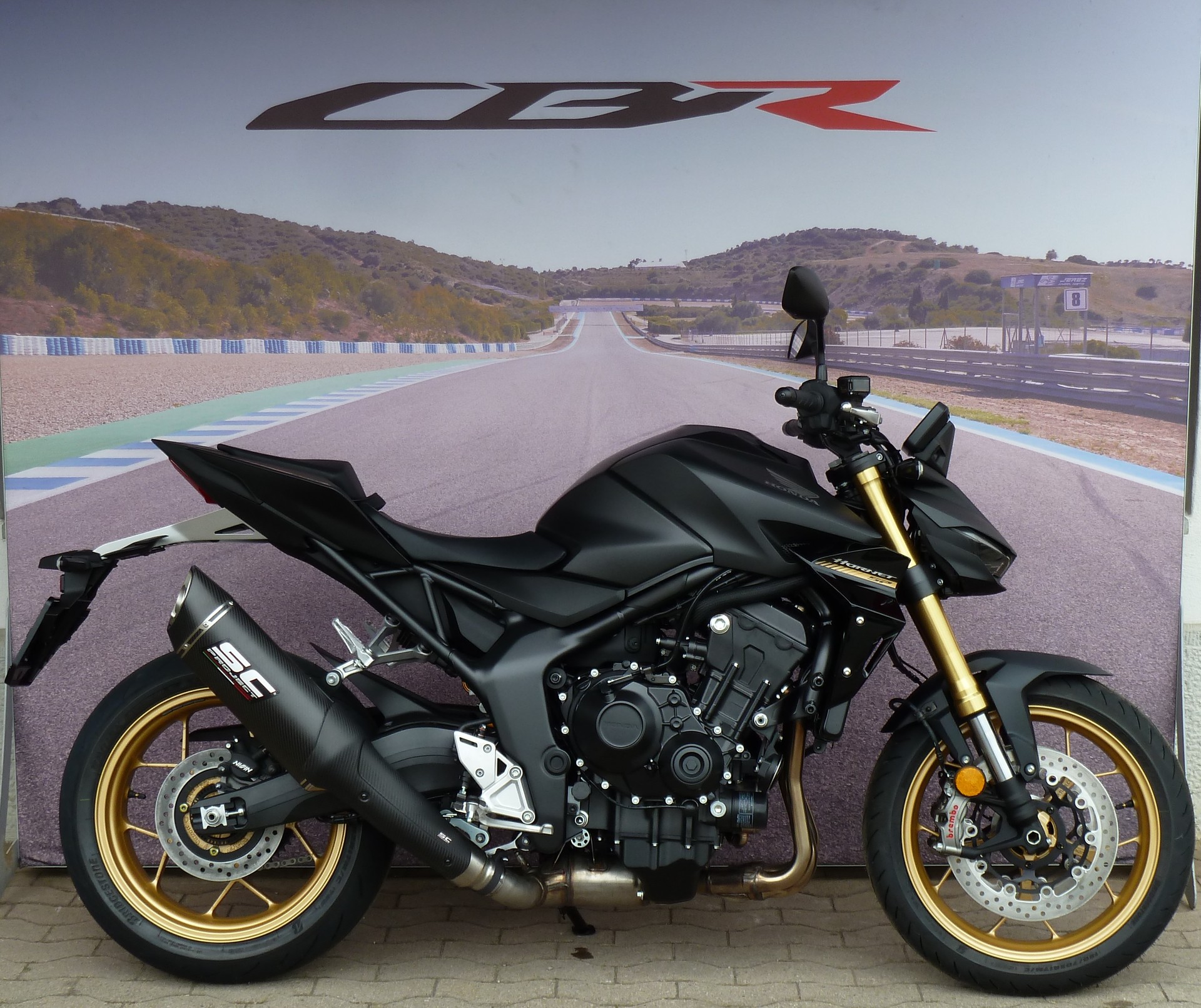 HONDA CB 1000 Hornet SP-image-7