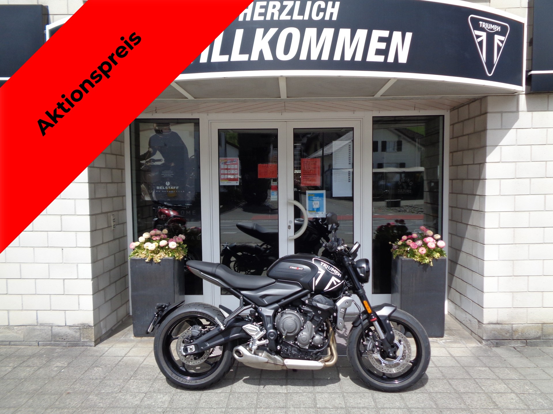 TRIUMPH Trident 660