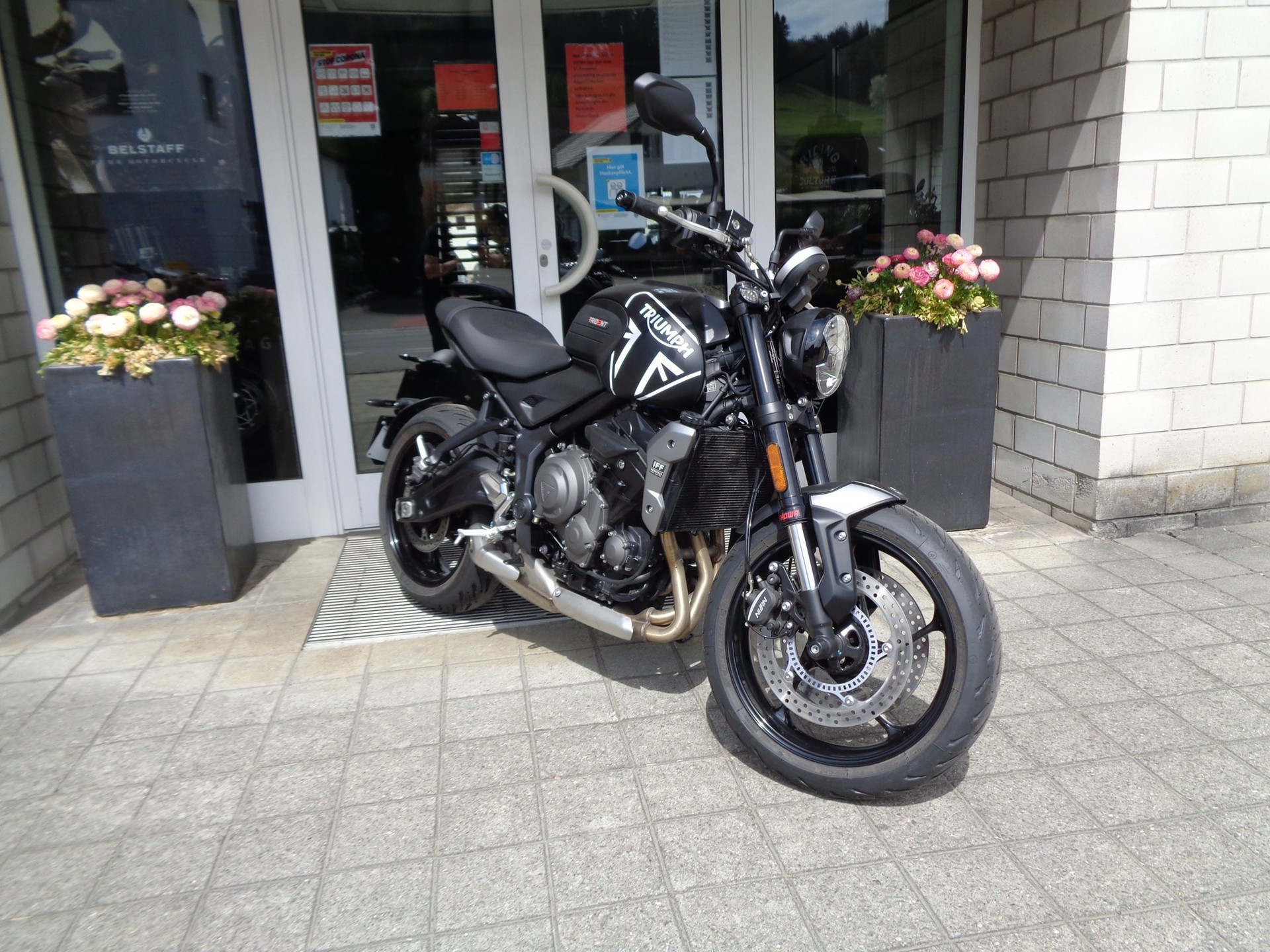 TRIUMPH Trident 660-showroom-element-3