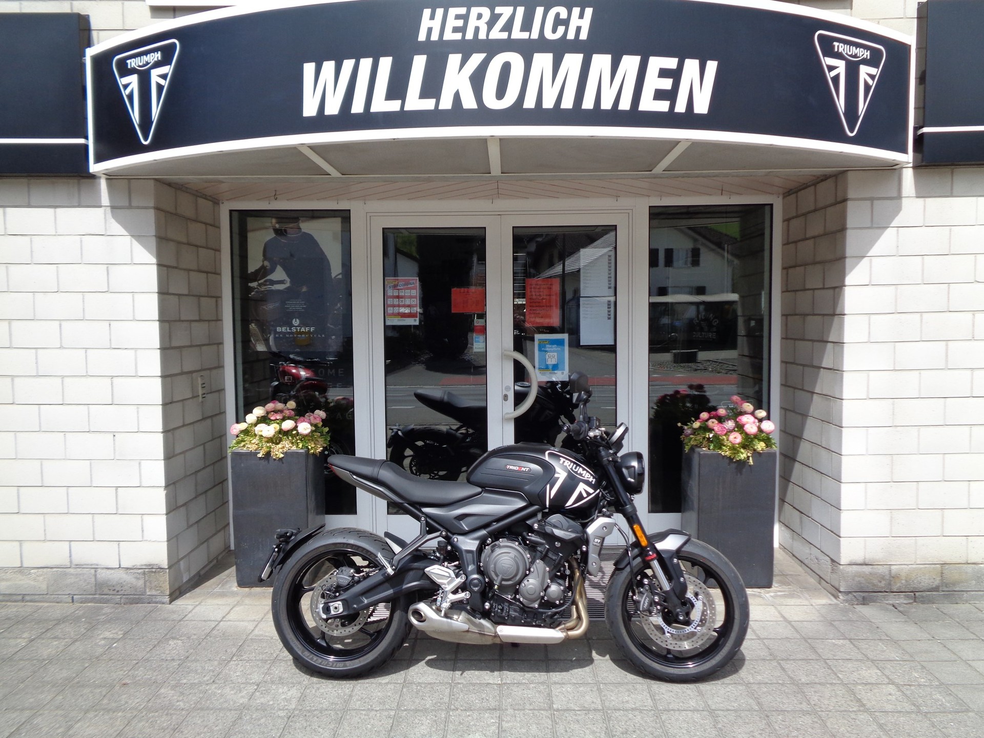 TRIUMPH Trident 660-showroom-element-1