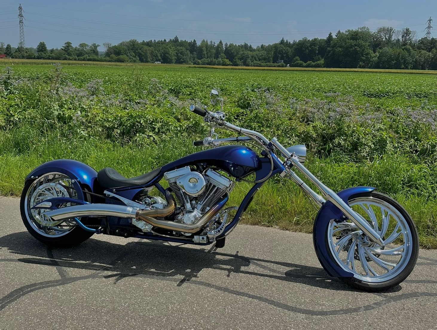 BIG BEAR Sled ProStreet-image-0