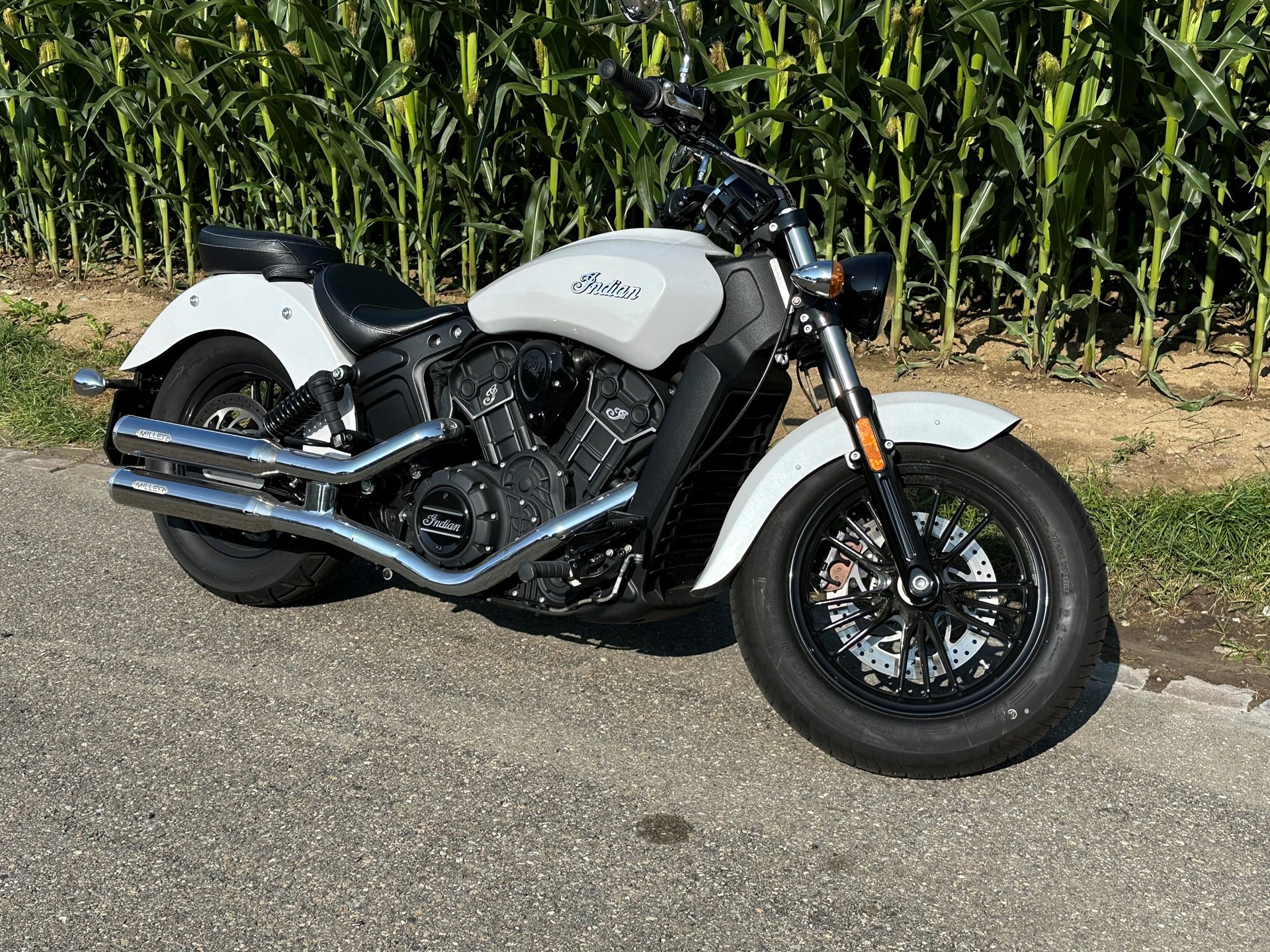 INDIAN Scout Sixty ABS-image-2