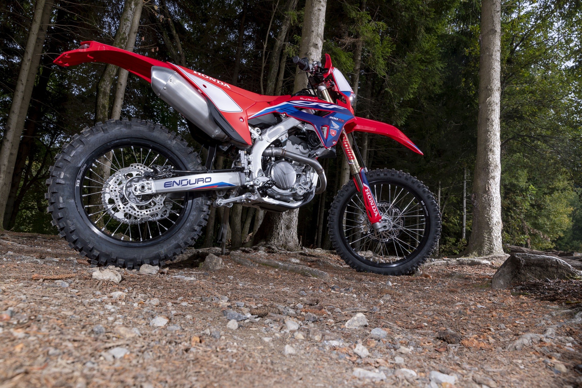 HONDA CEF300RX-image-0