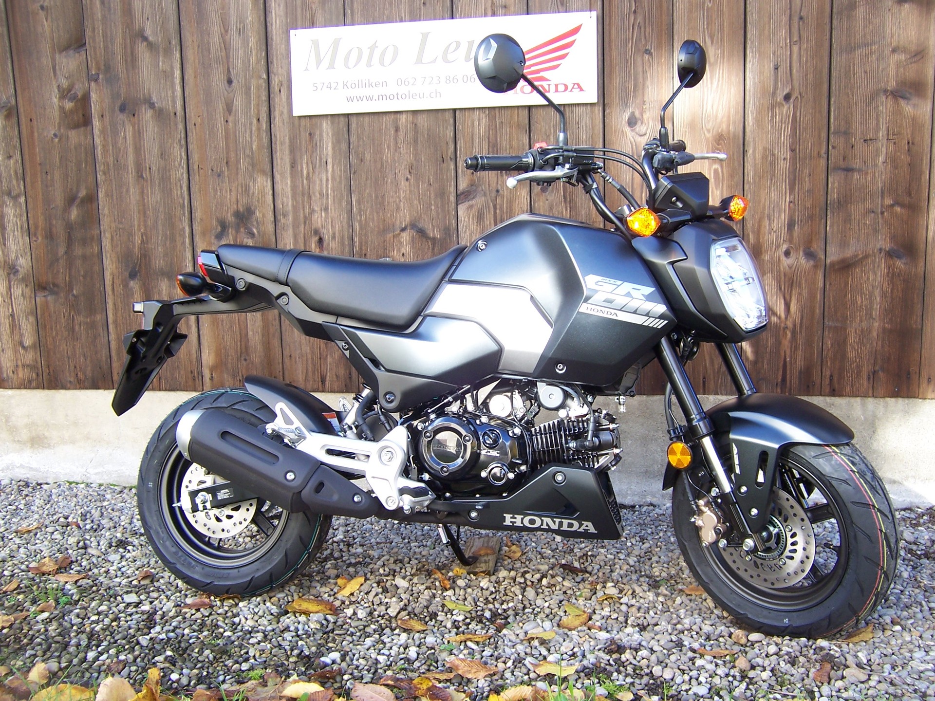 HONDA MSX 125-image-13