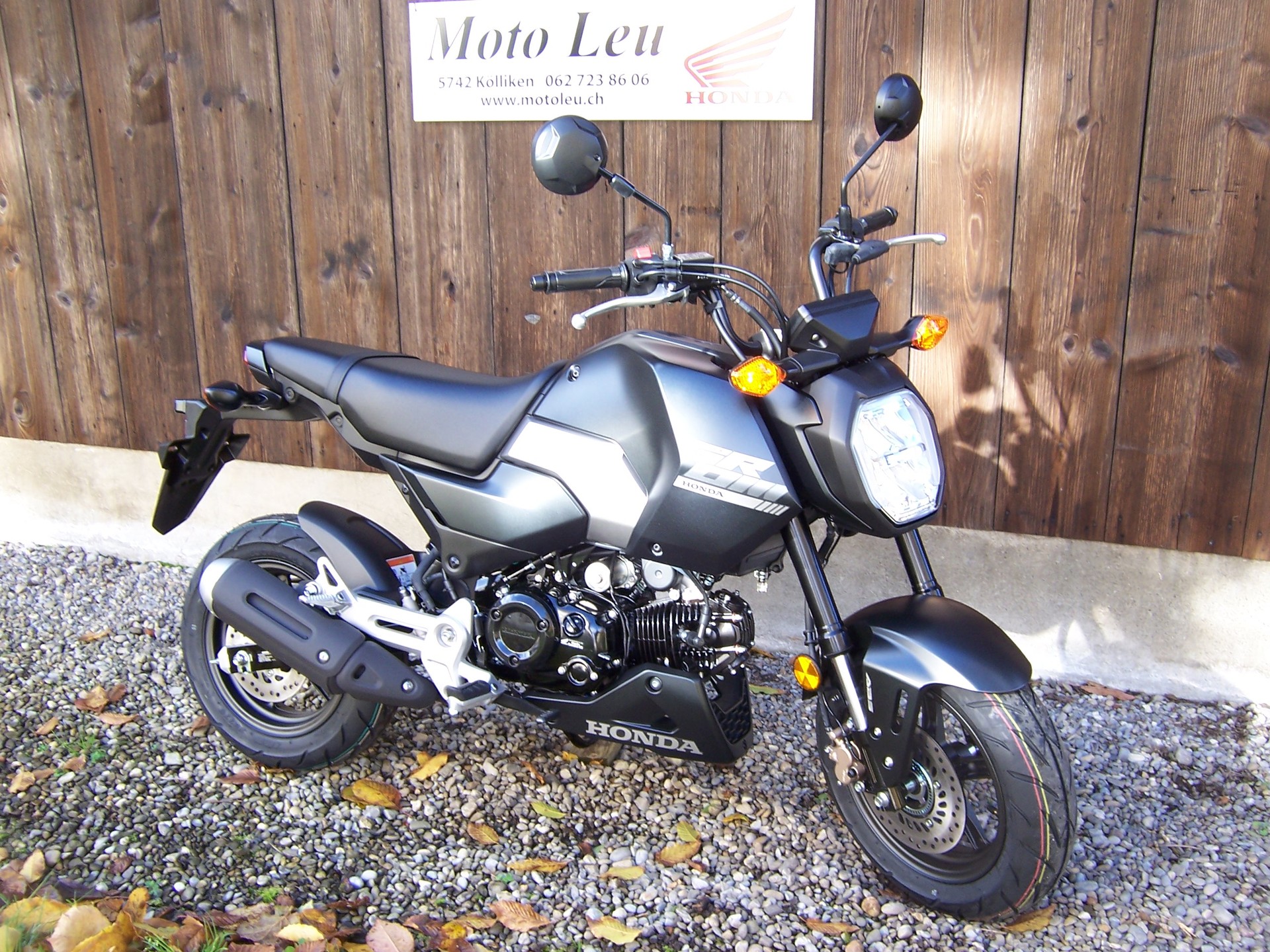 HONDA MSX 125-image-9