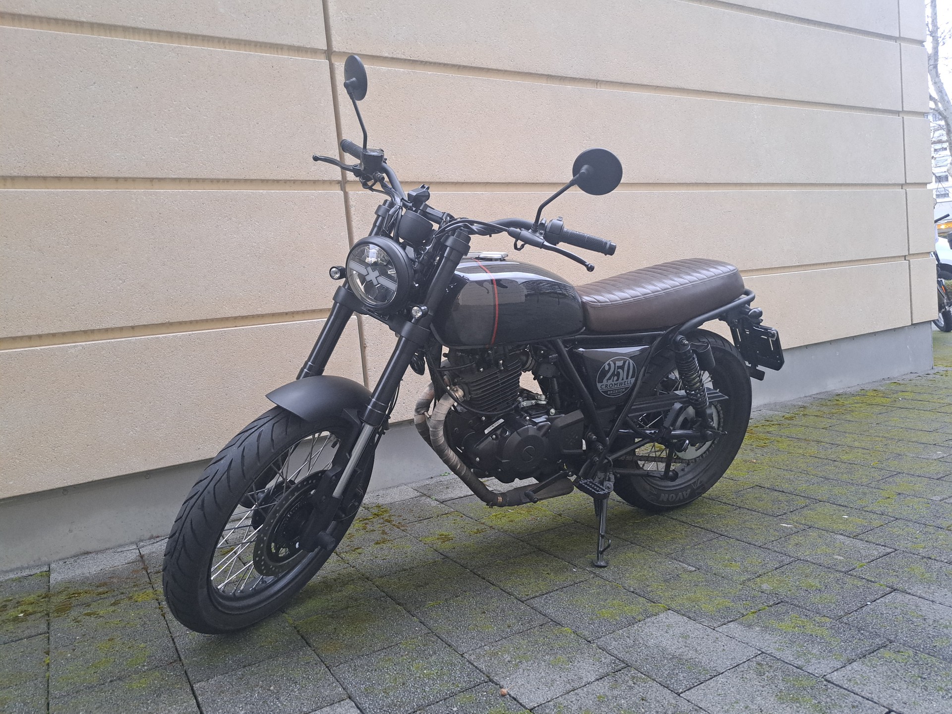 BRIXTON Felsberg 250