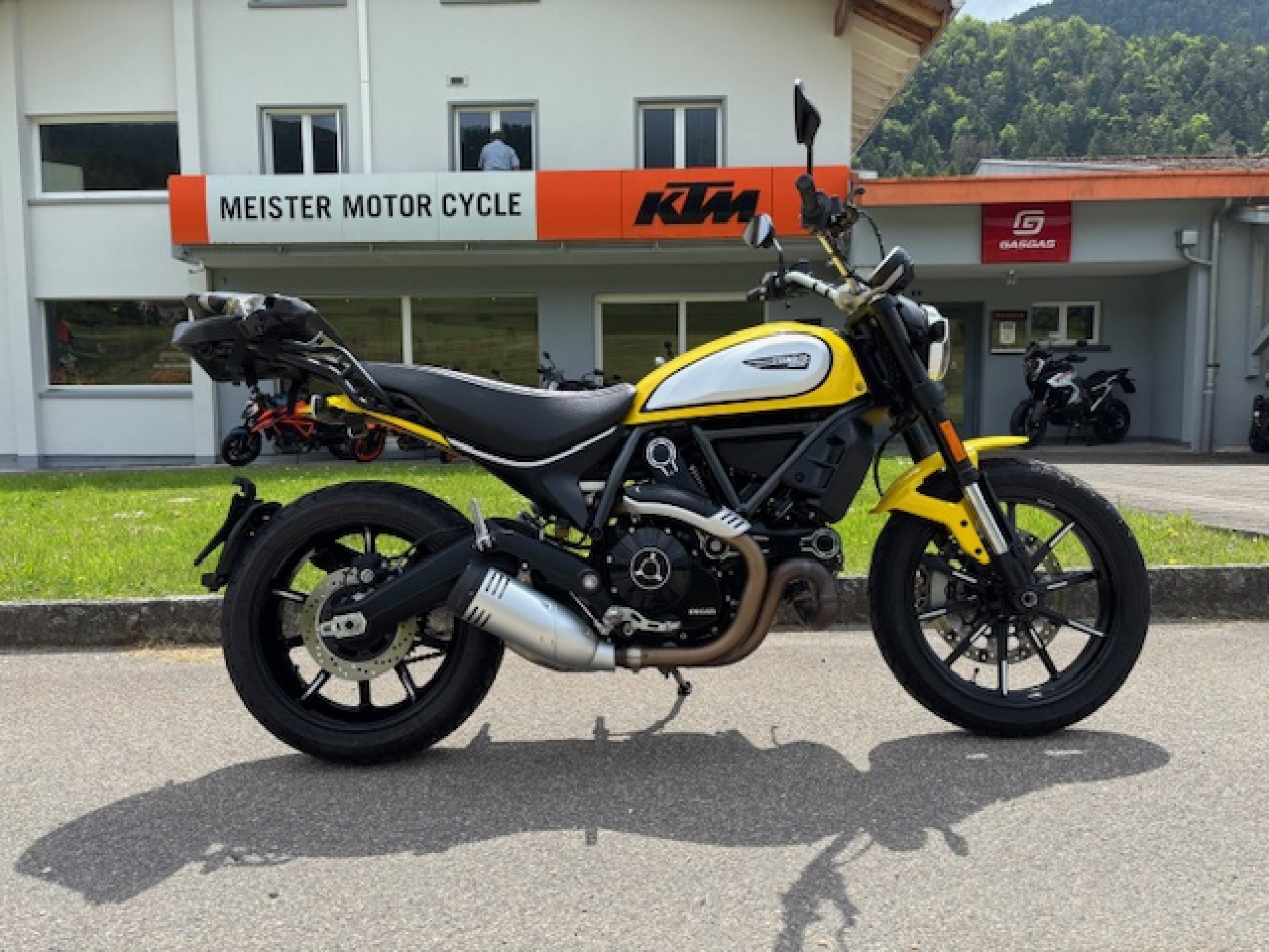 DUCATI Scrambler 803 Icon