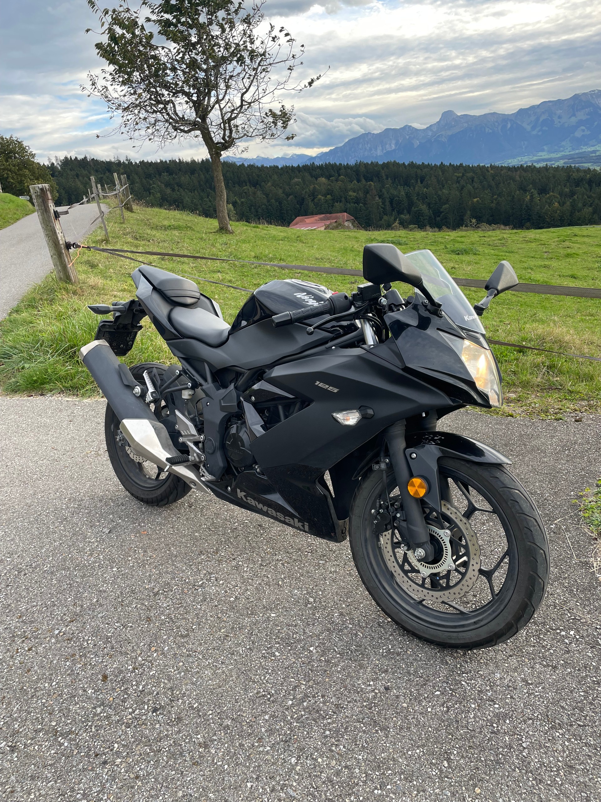 KAWASAKI Ninja 125-image-1