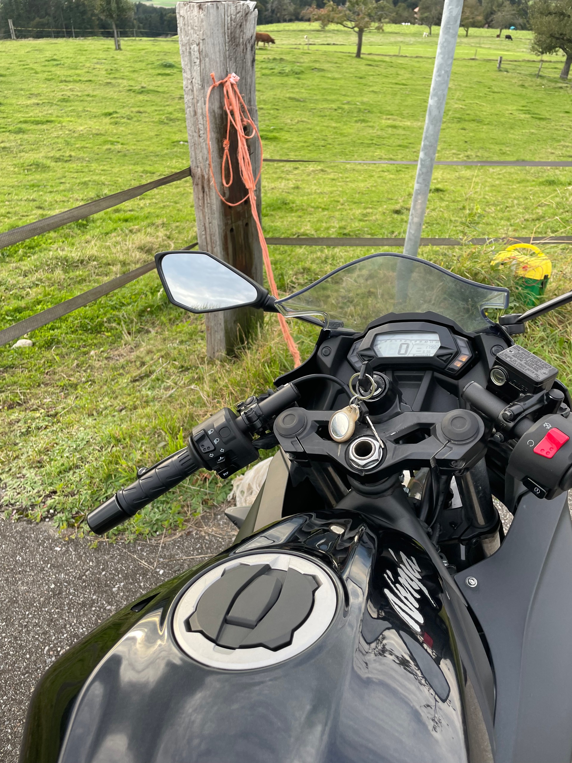 KAWASAKI Ninja 125-image-3