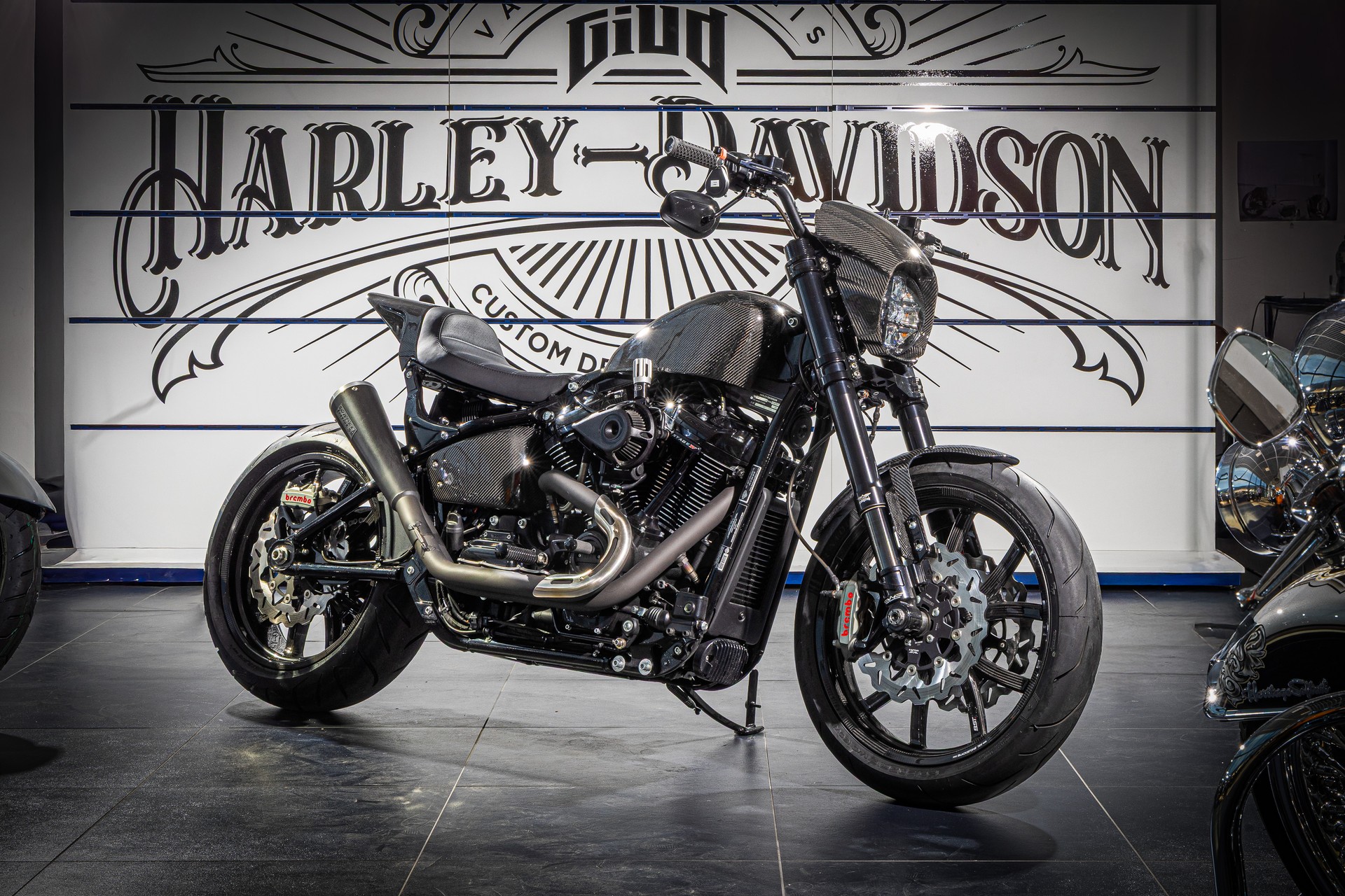 HARLEY-DAVIDSON FXLRS Low Rider S 117