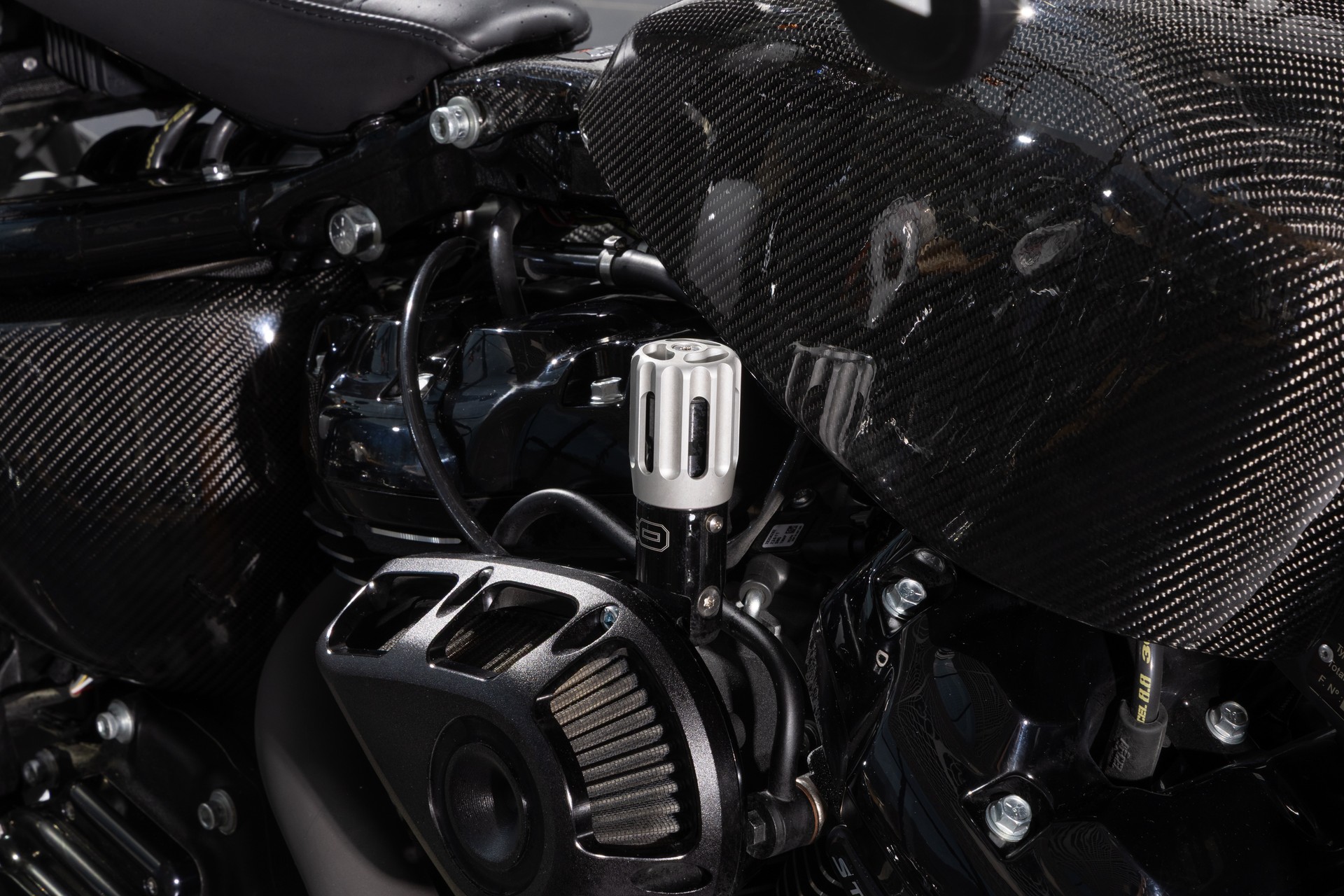 HARLEY-DAVIDSON FXLRS Low Rider S 117-showroom-element-1