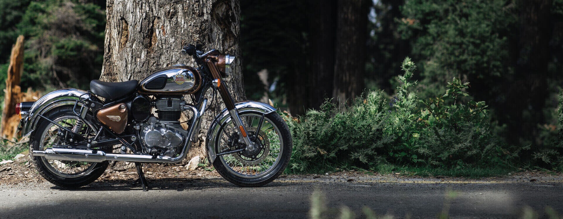 ROYAL ENFIELD Classic 350 Chrome-image-0