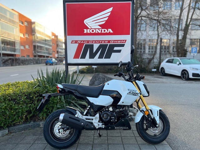 HONDA MSX 125 GROM-image-0