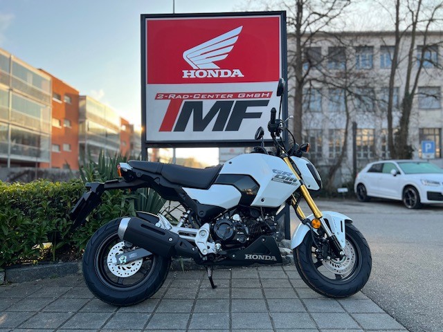 HONDA MSX 125 GROM-image-3