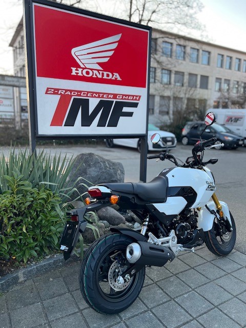 HONDA MSX 125 GROM-image-2