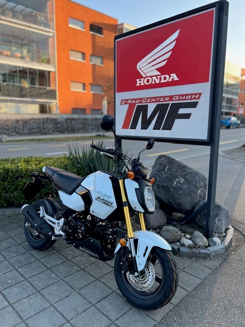 HONDA MSX 125 GROM-image-1