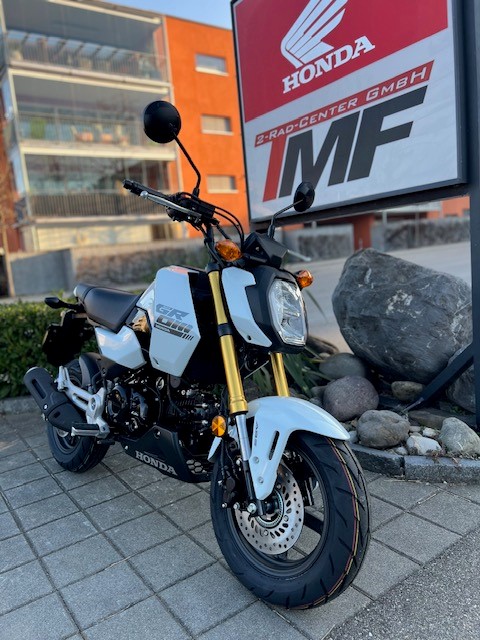 HONDA MSX 125 GROM-image-5