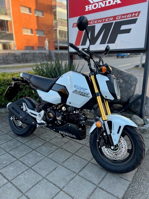 HONDA MSX 125 GROM-image-4