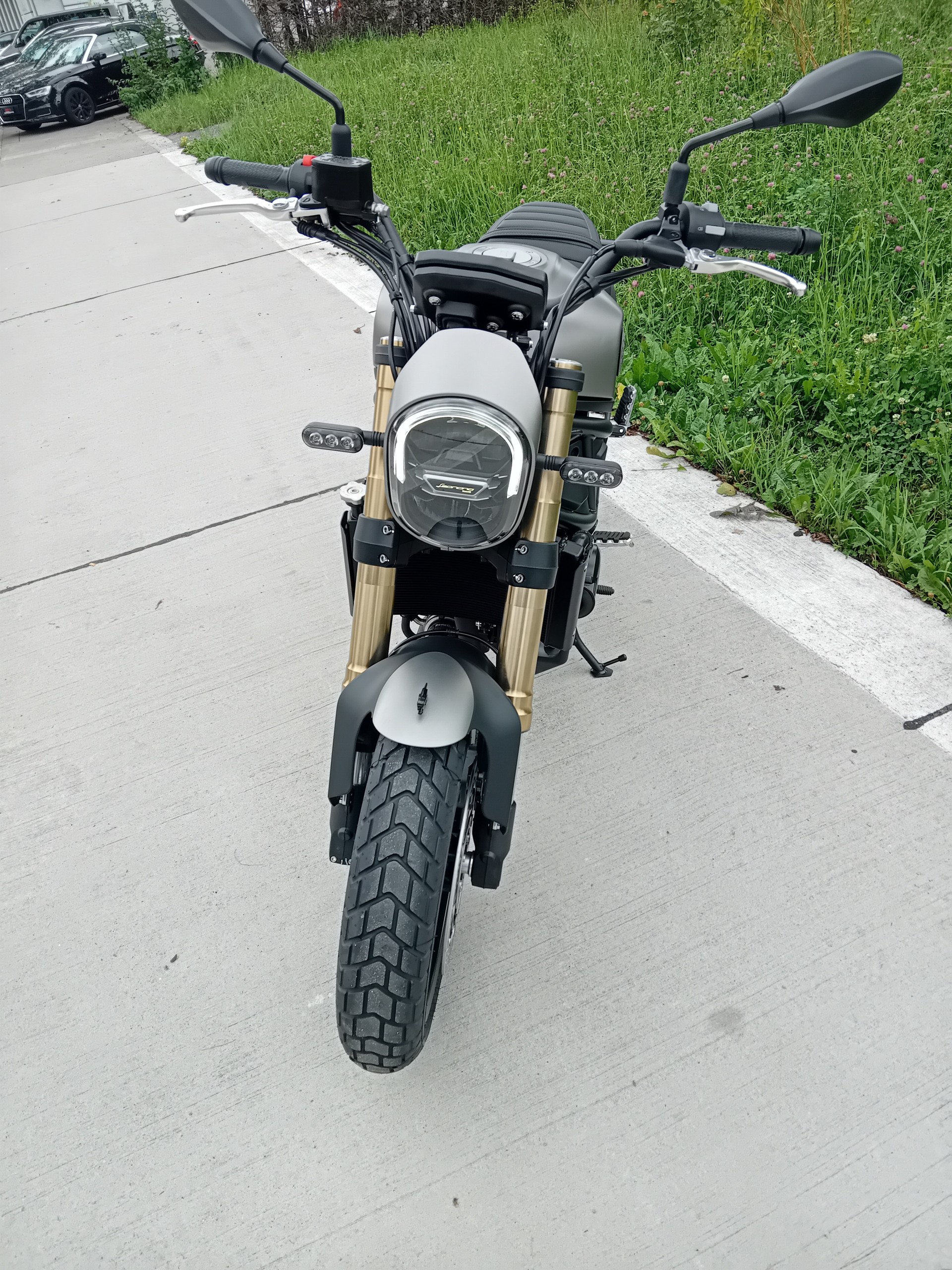 BENELLI Leoncino 800-image-1