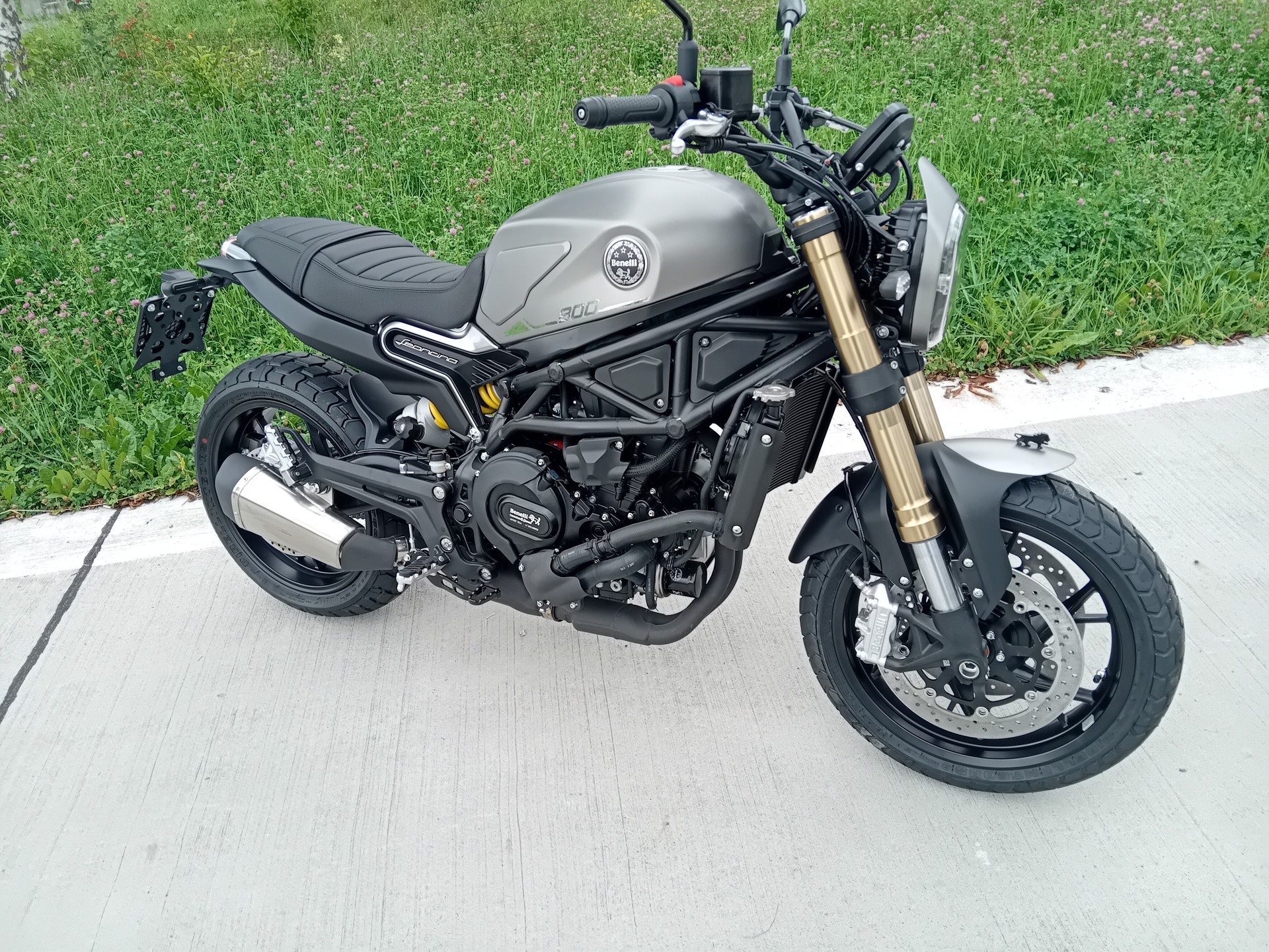 BENELLI Leoncino 800-image-0