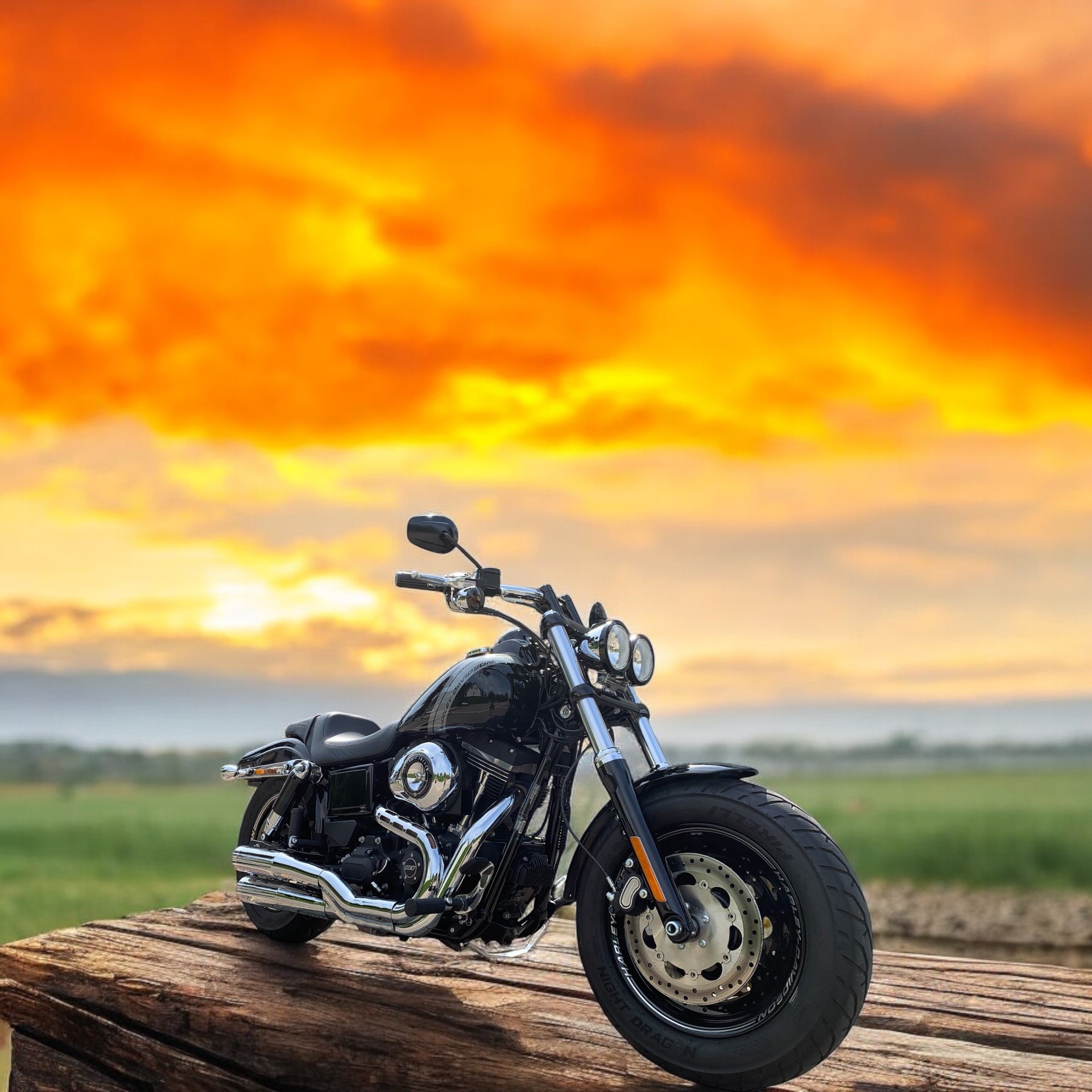 HARLEY-DAVIDSON FXDF Dyna Fat Bob 103 ABS