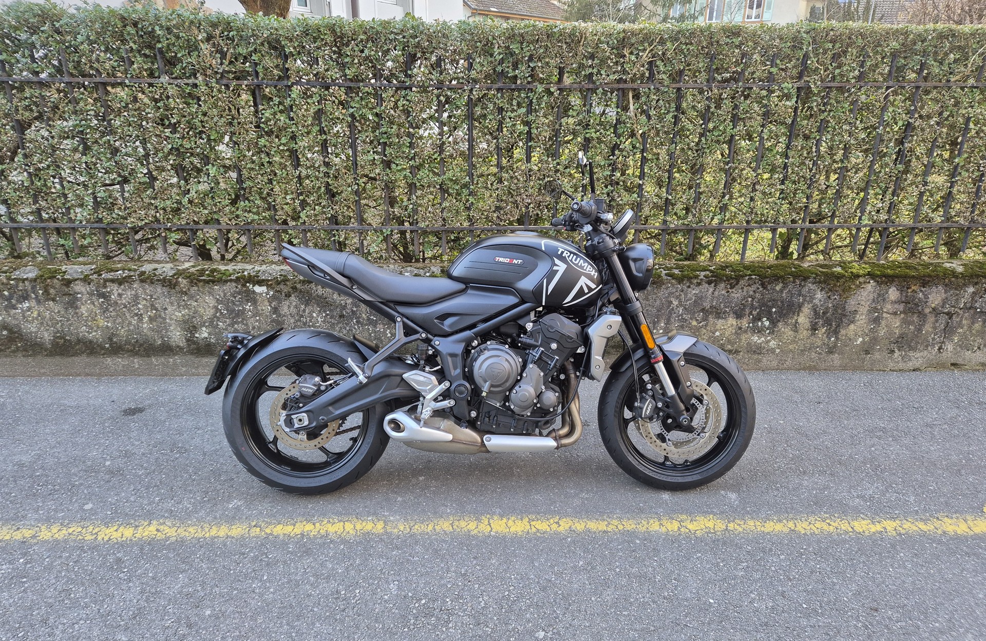 TRIUMPH Trident 660