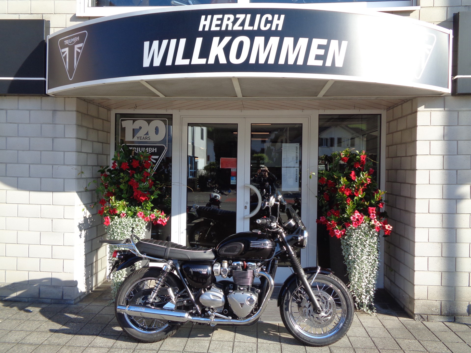 TRIUMPH Bonneville T120 ABS-image-0
