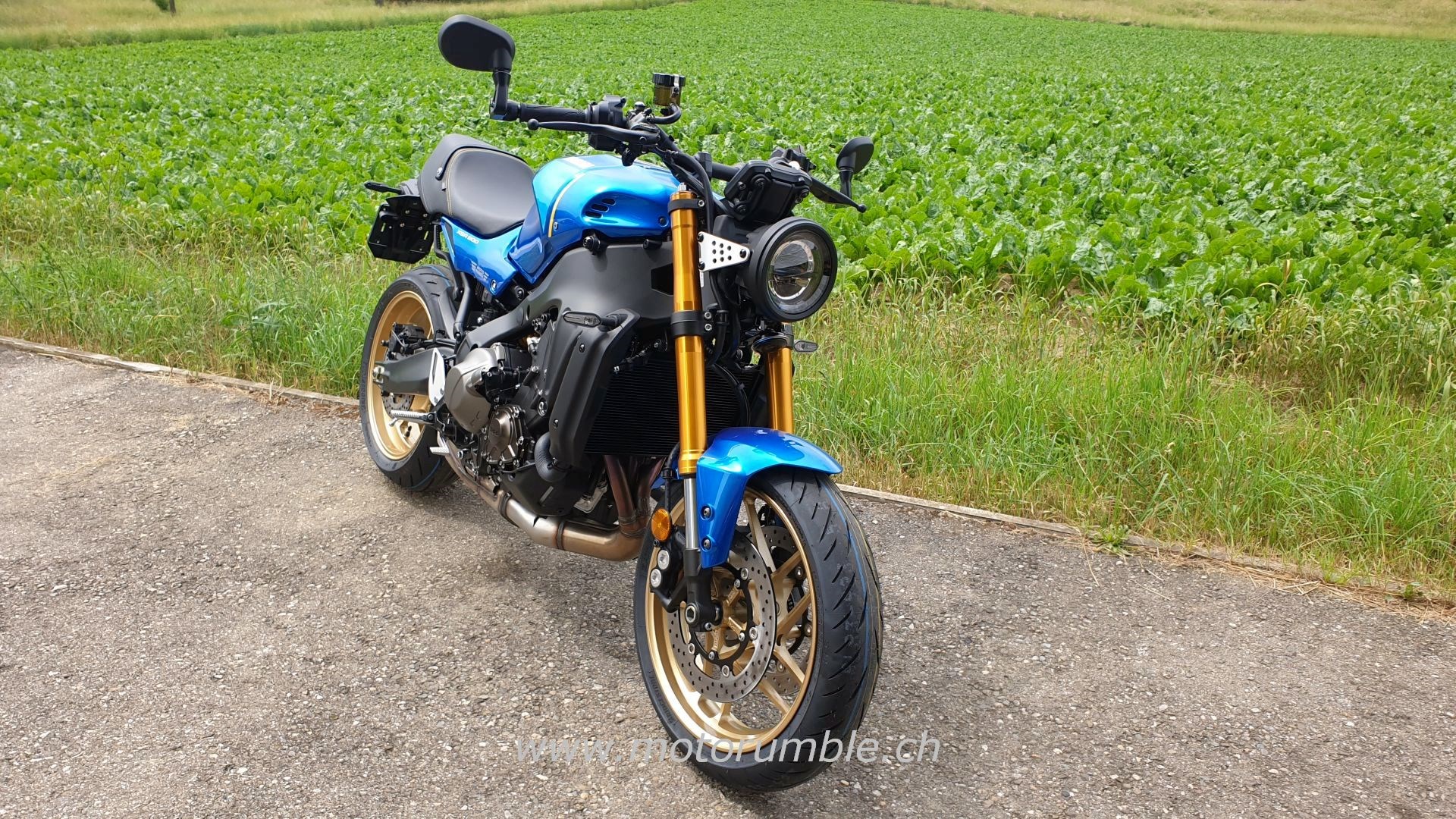 YAMAHA XSR900-image-1