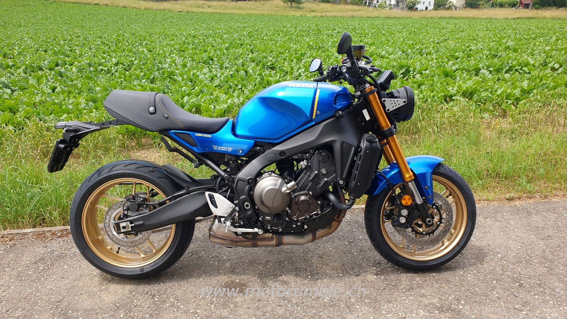 YAMAHA XSR900-image-0