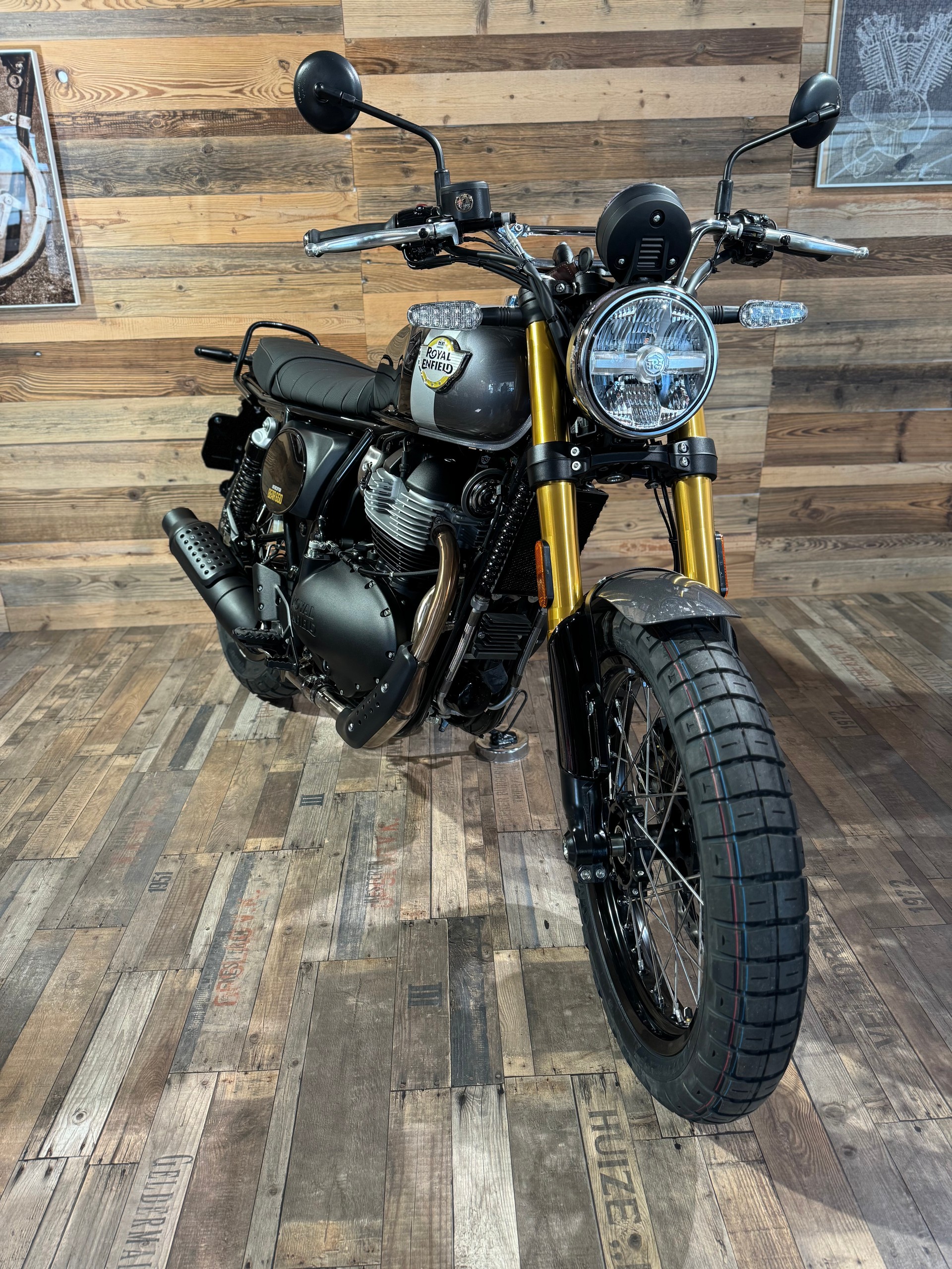 ROYAL ENFIELD Bear 650-showroom-element-1
