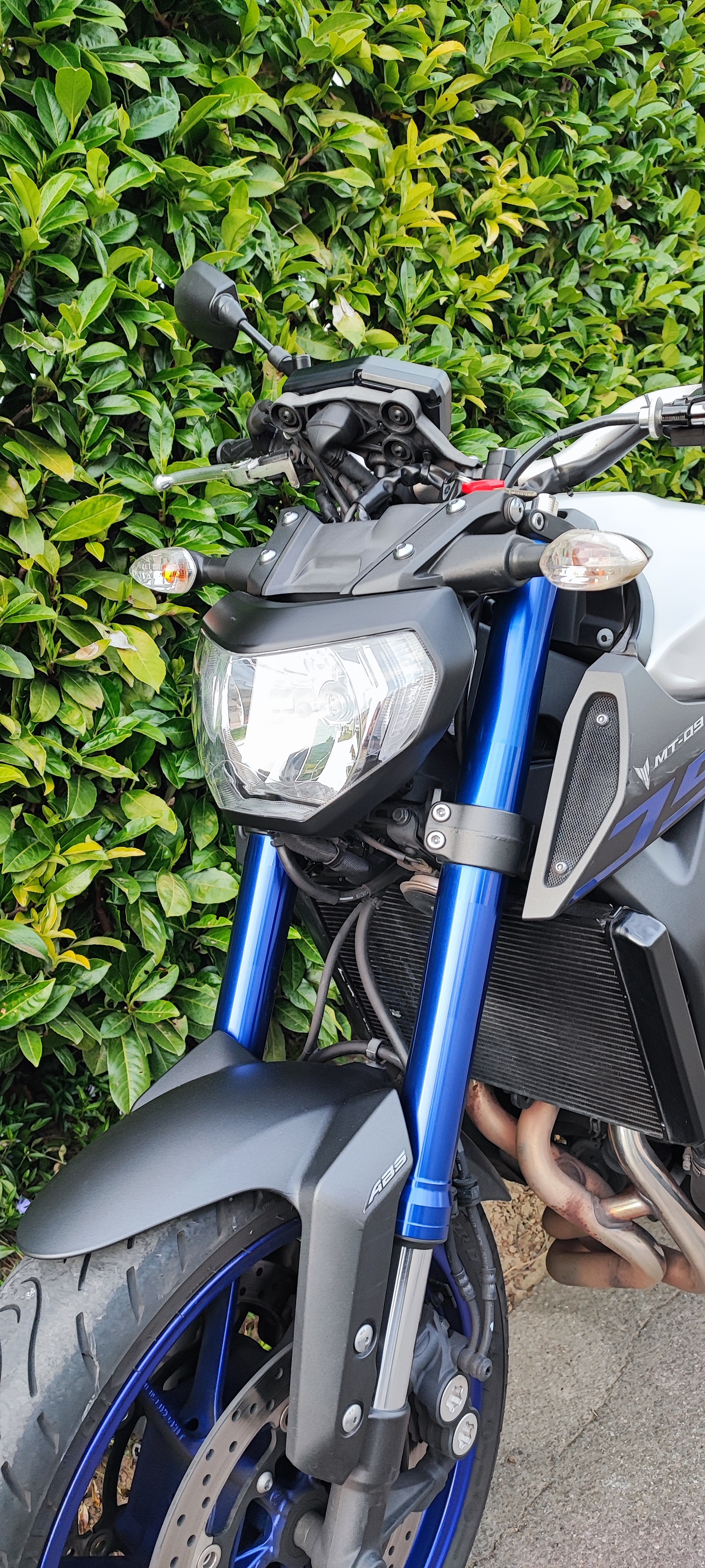 YAMAHA MT-09-image-4