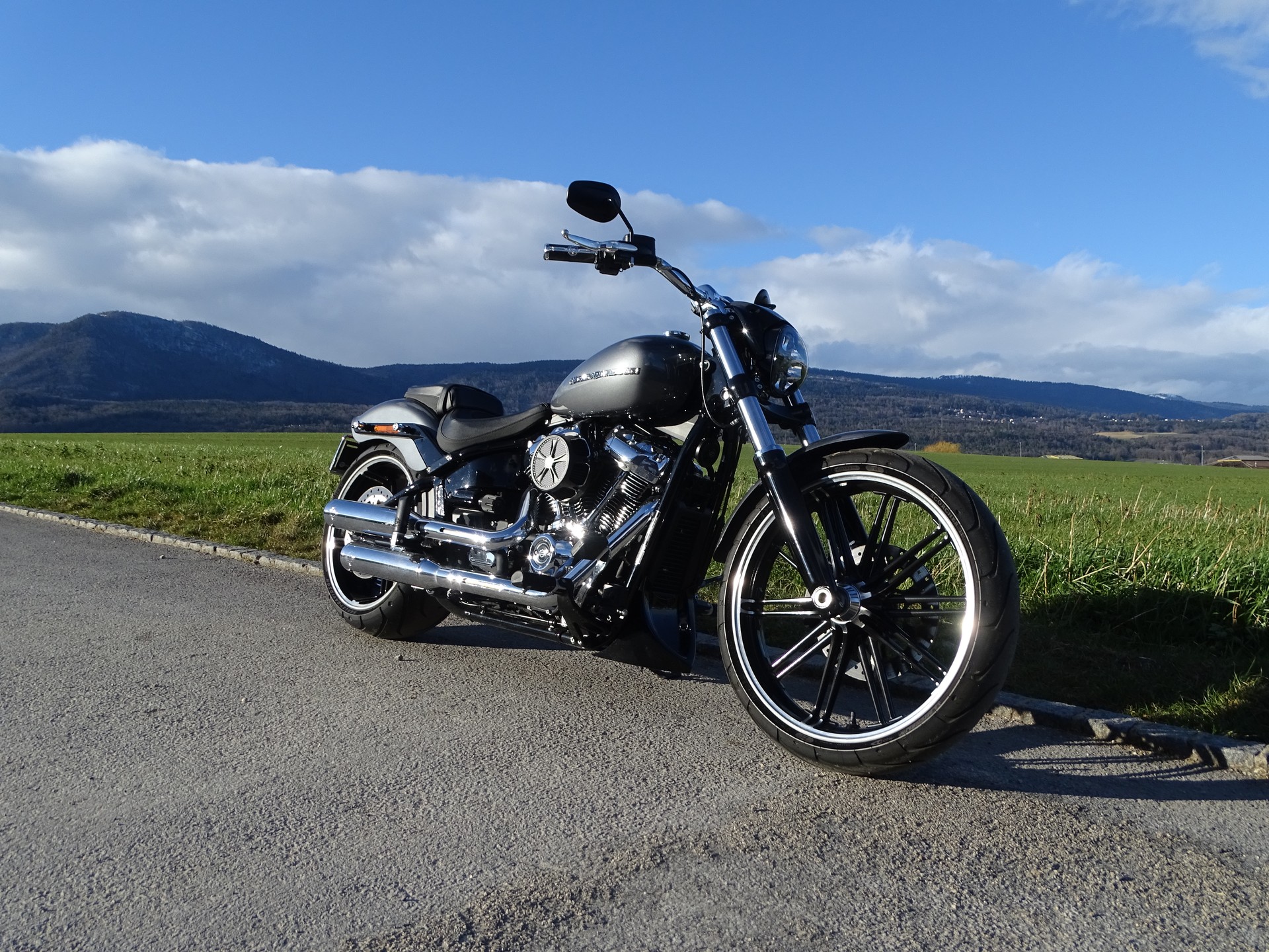 HARLEY-DAVIDSON FXBRS Breakout 114