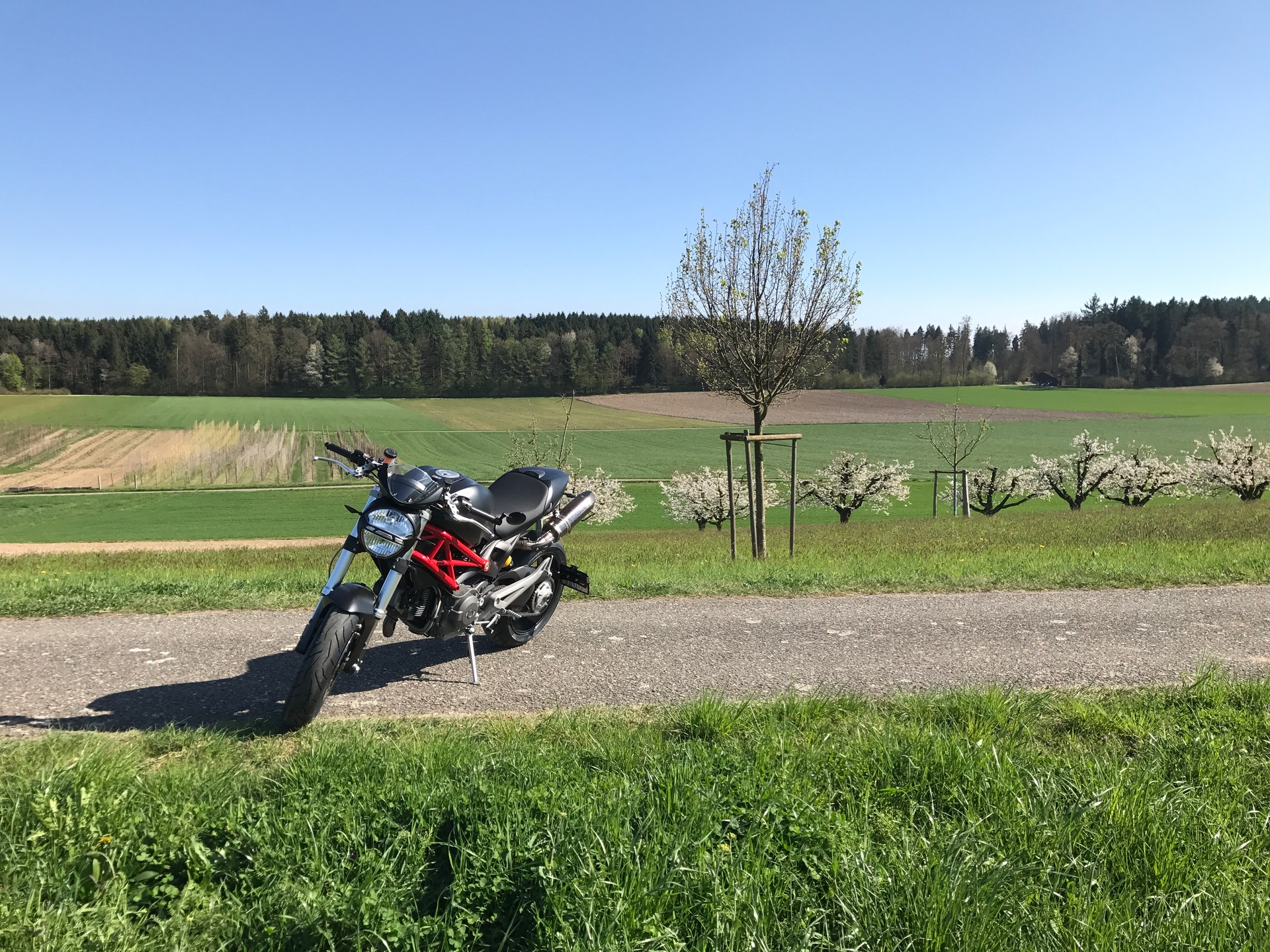 DUCATI Monster 1100 S-image-3