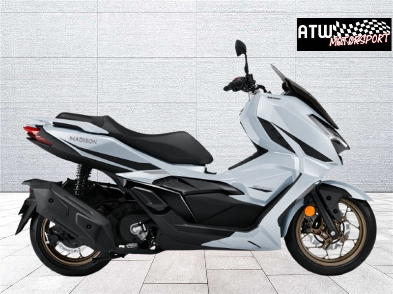MALAGUTI Madison 300 ABS-showroom-element-1