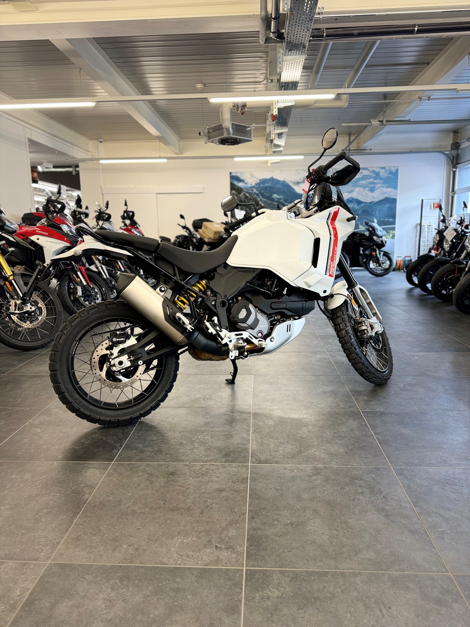 DUCATI Desert X