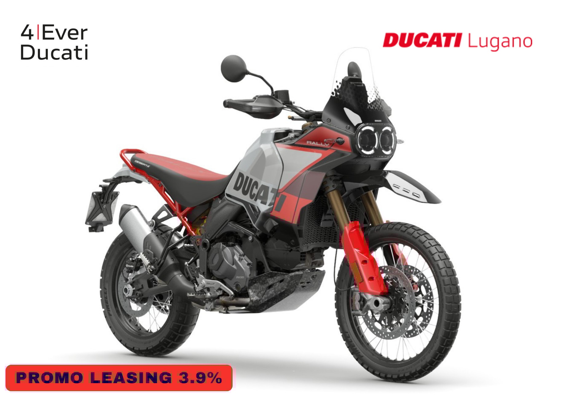 DUCATI Desert X Rally