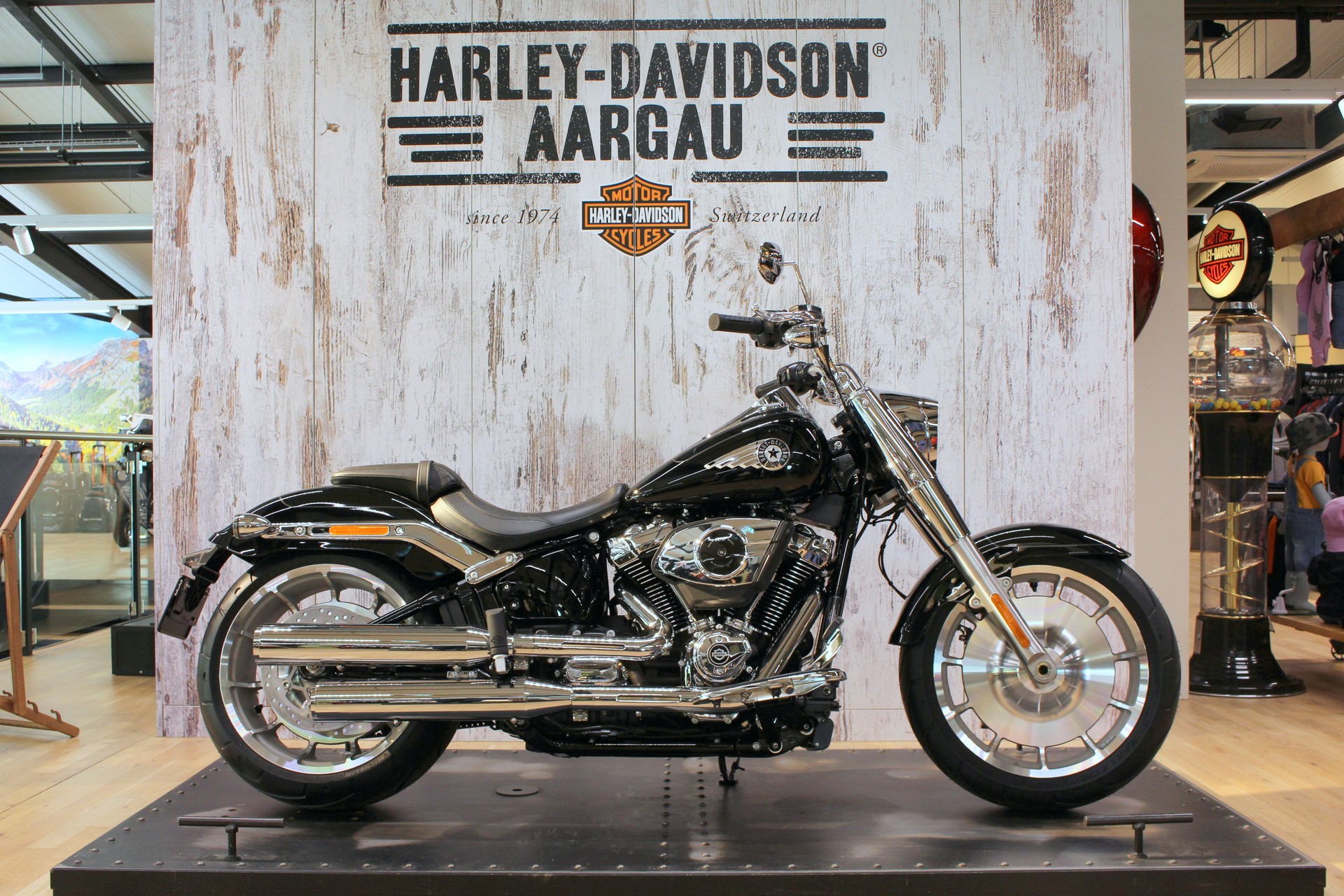 HARLEY-DAVIDSON FLFB Fat Boy 117