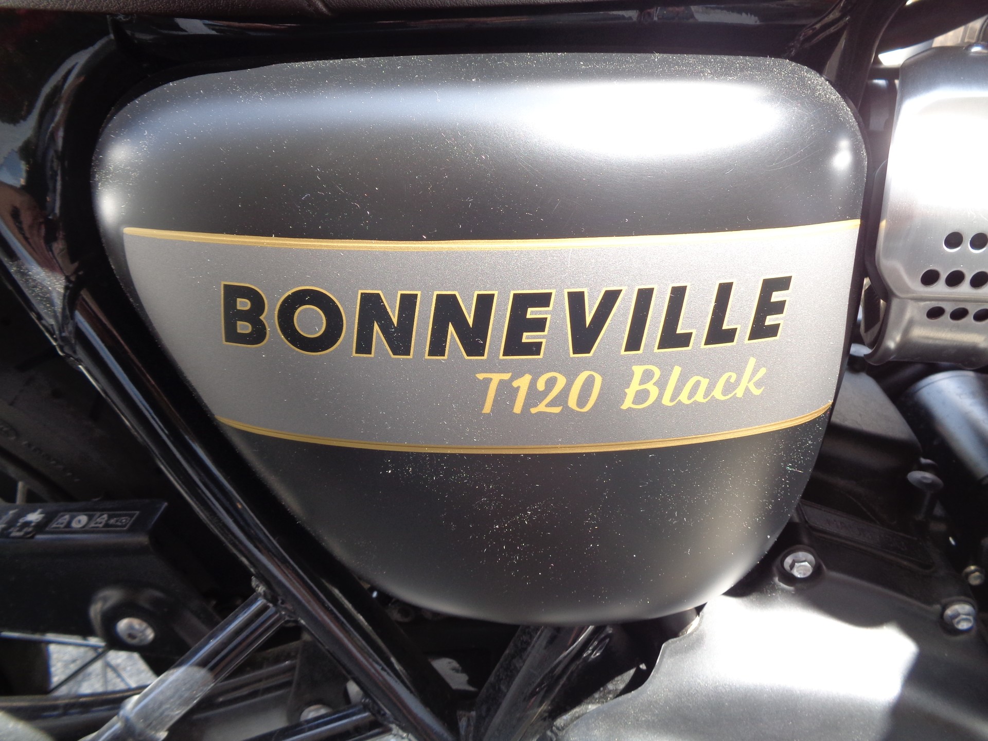 TRIUMPH Bonneville T120 Special Edition-image-3
