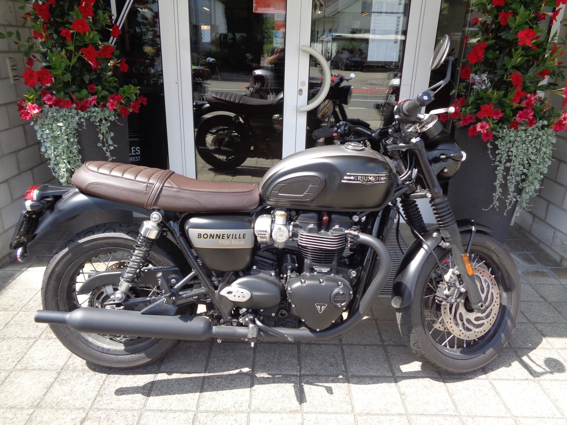 TRIUMPH Bonneville T120 Special Edition-image-0