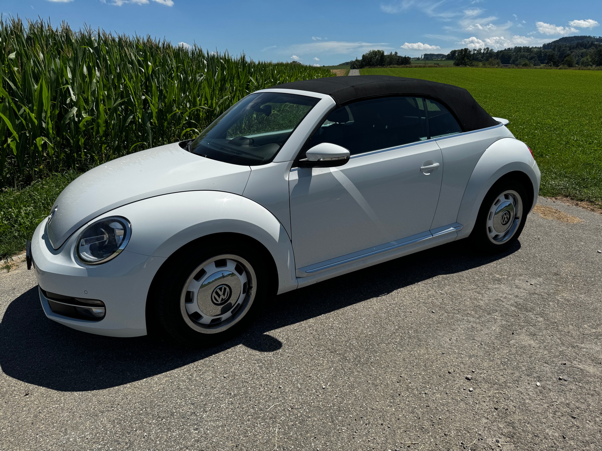 VW BEETLE - Occasionen kaufen | MotoScout24