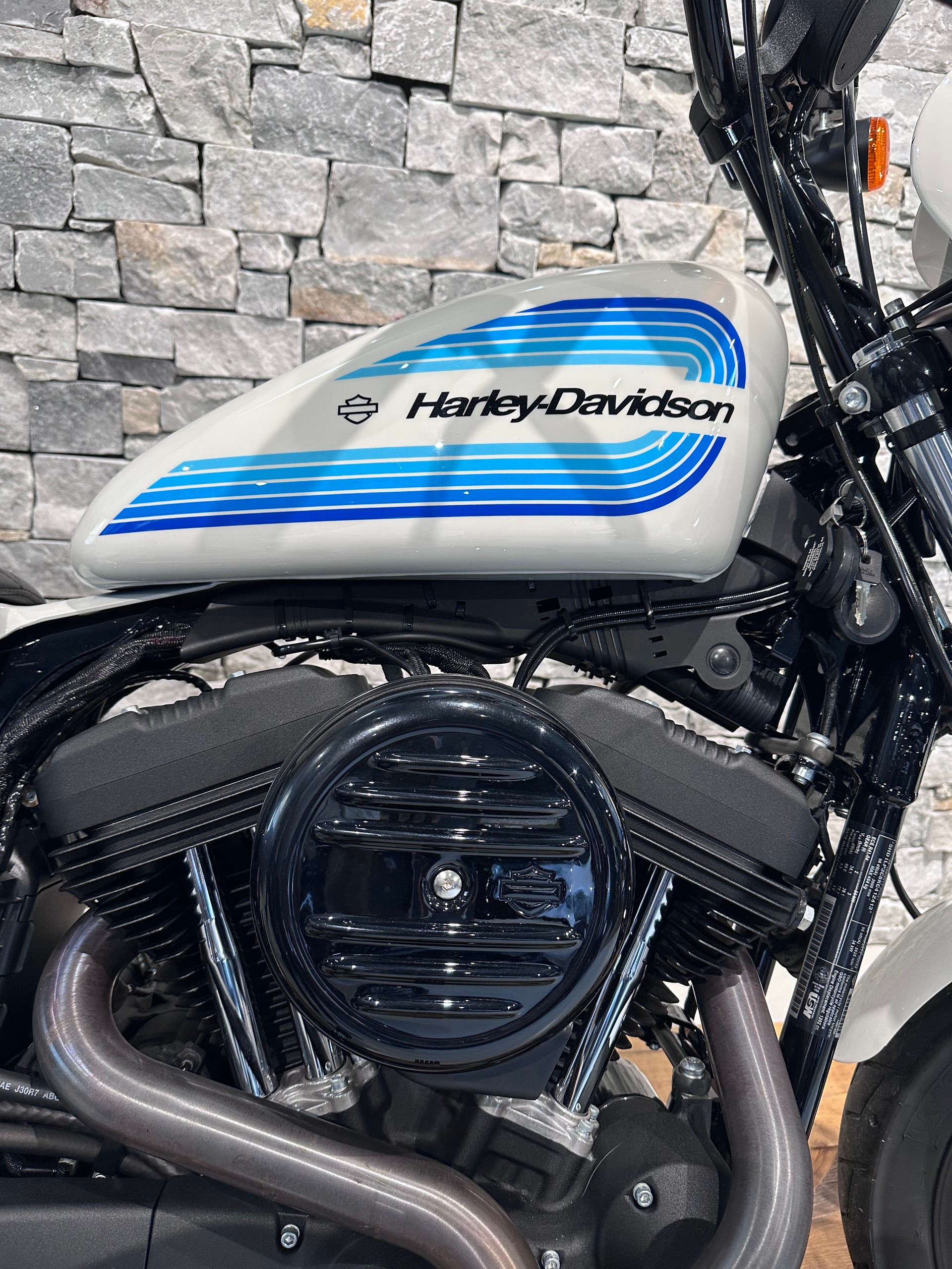 HARLEY-DAVIDSON XL1200NS-showroom-element-3