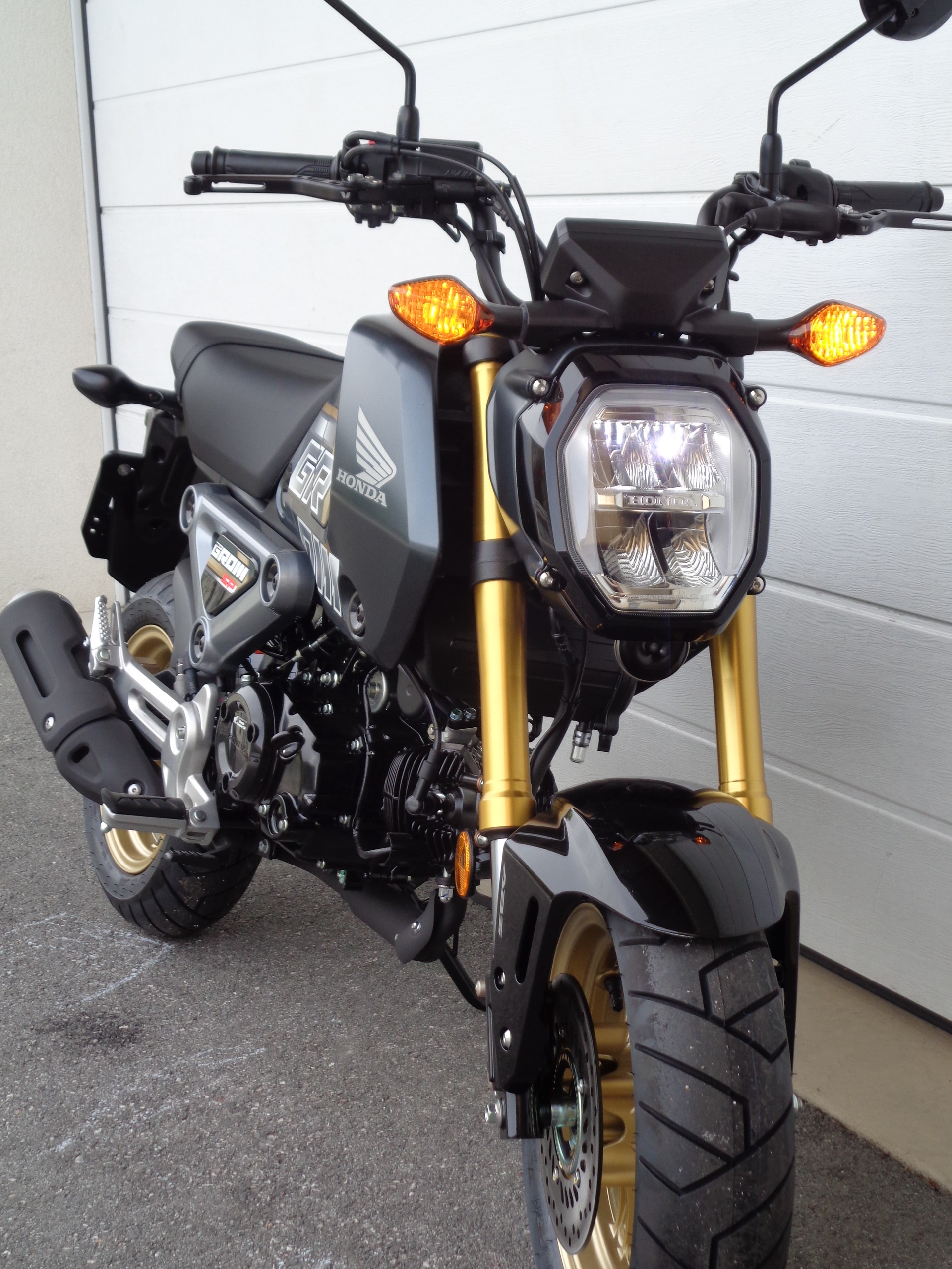HONDA MSX 125-showroom-element-1