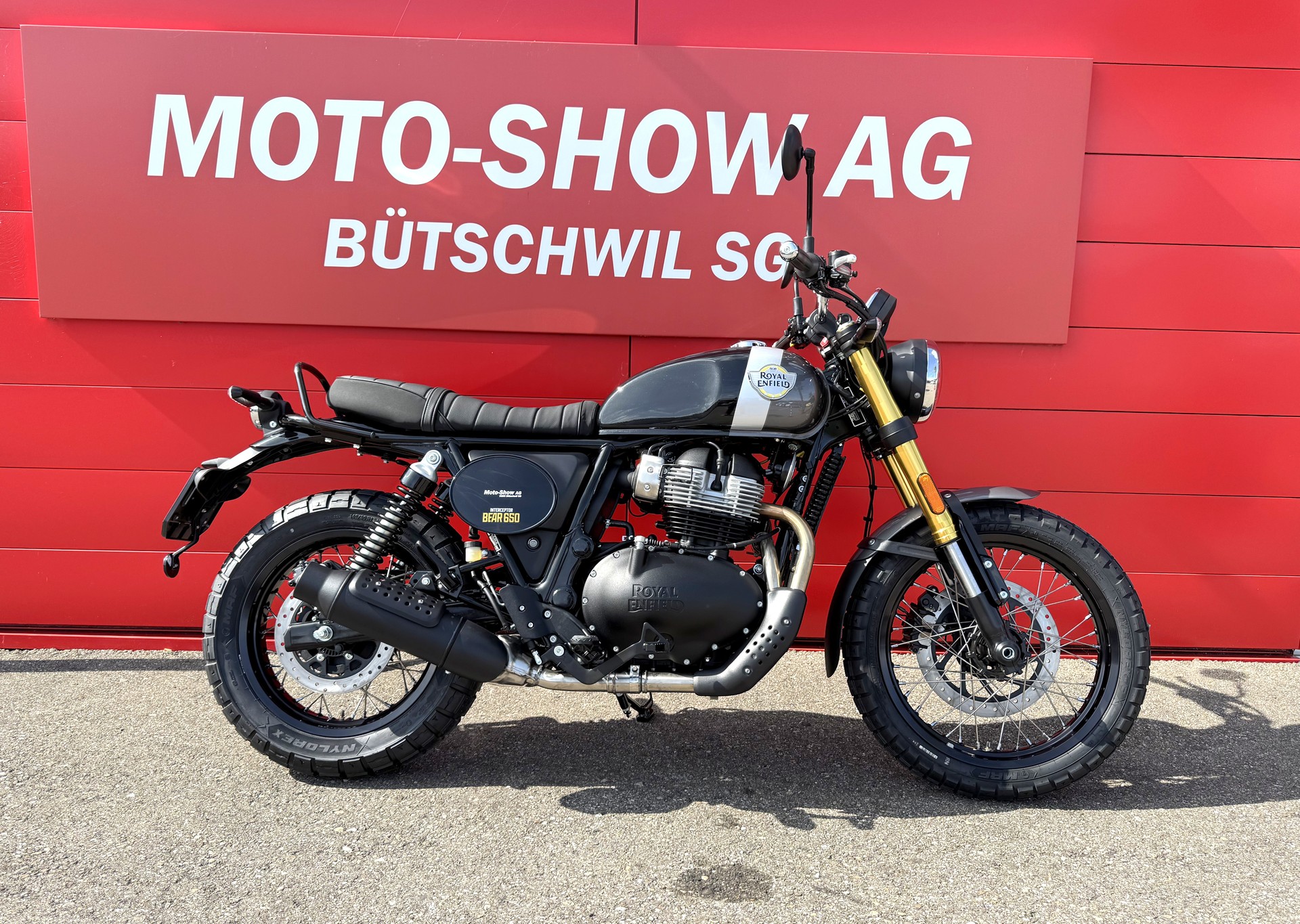 ROYAL ENFIELD BEAR 650
