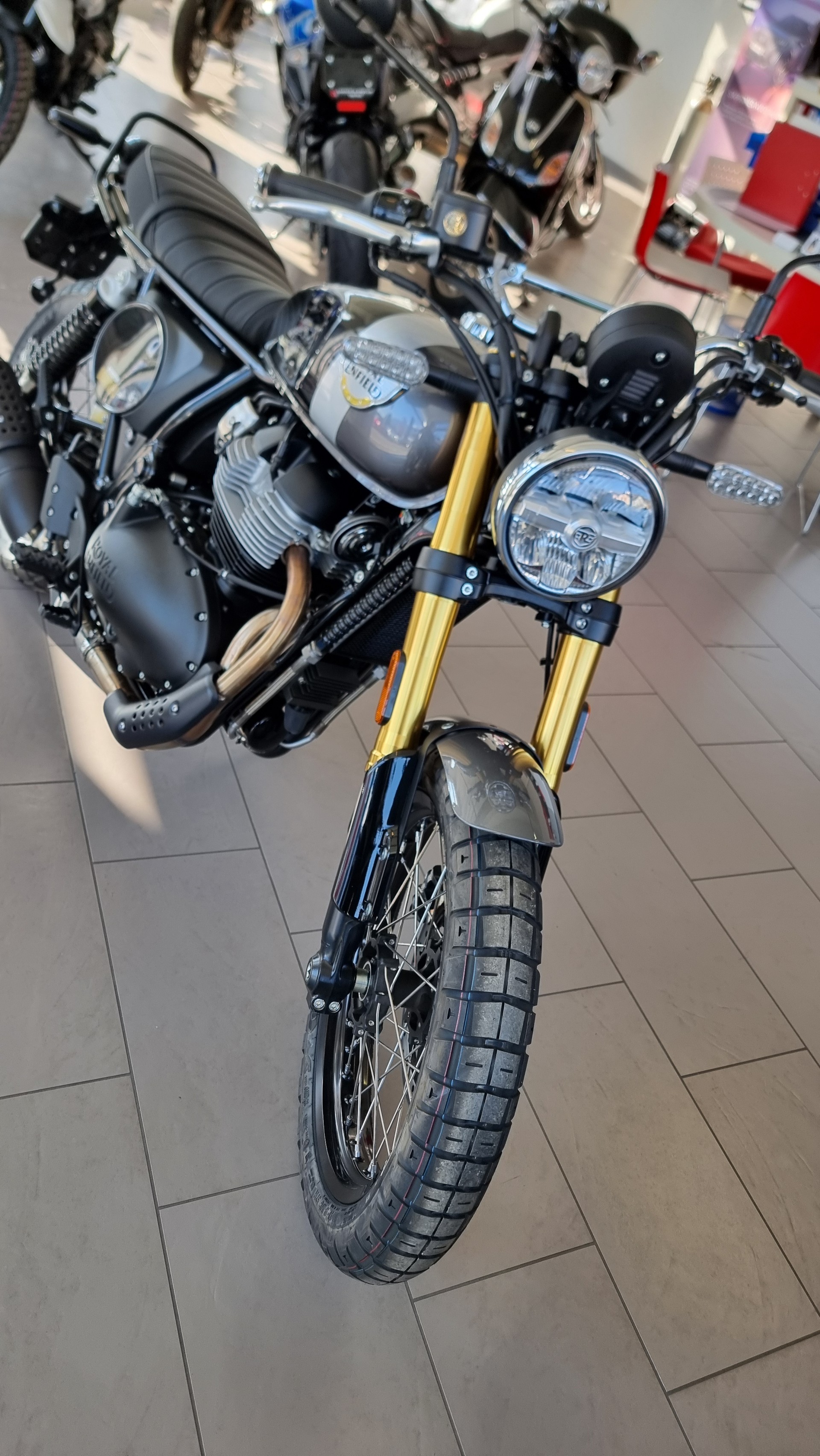 ROYAL ENFIELD BEAR  650
