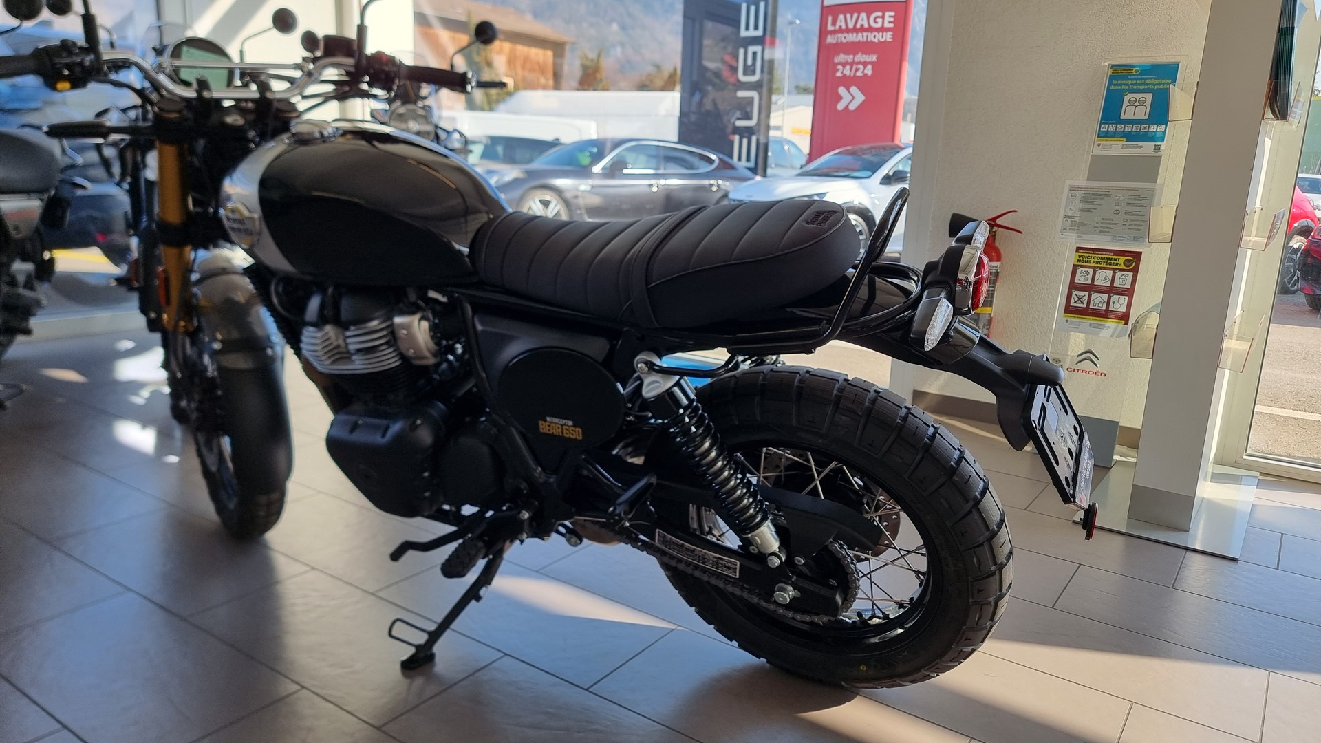 ROYAL ENFIELD BEAR  650-image-3