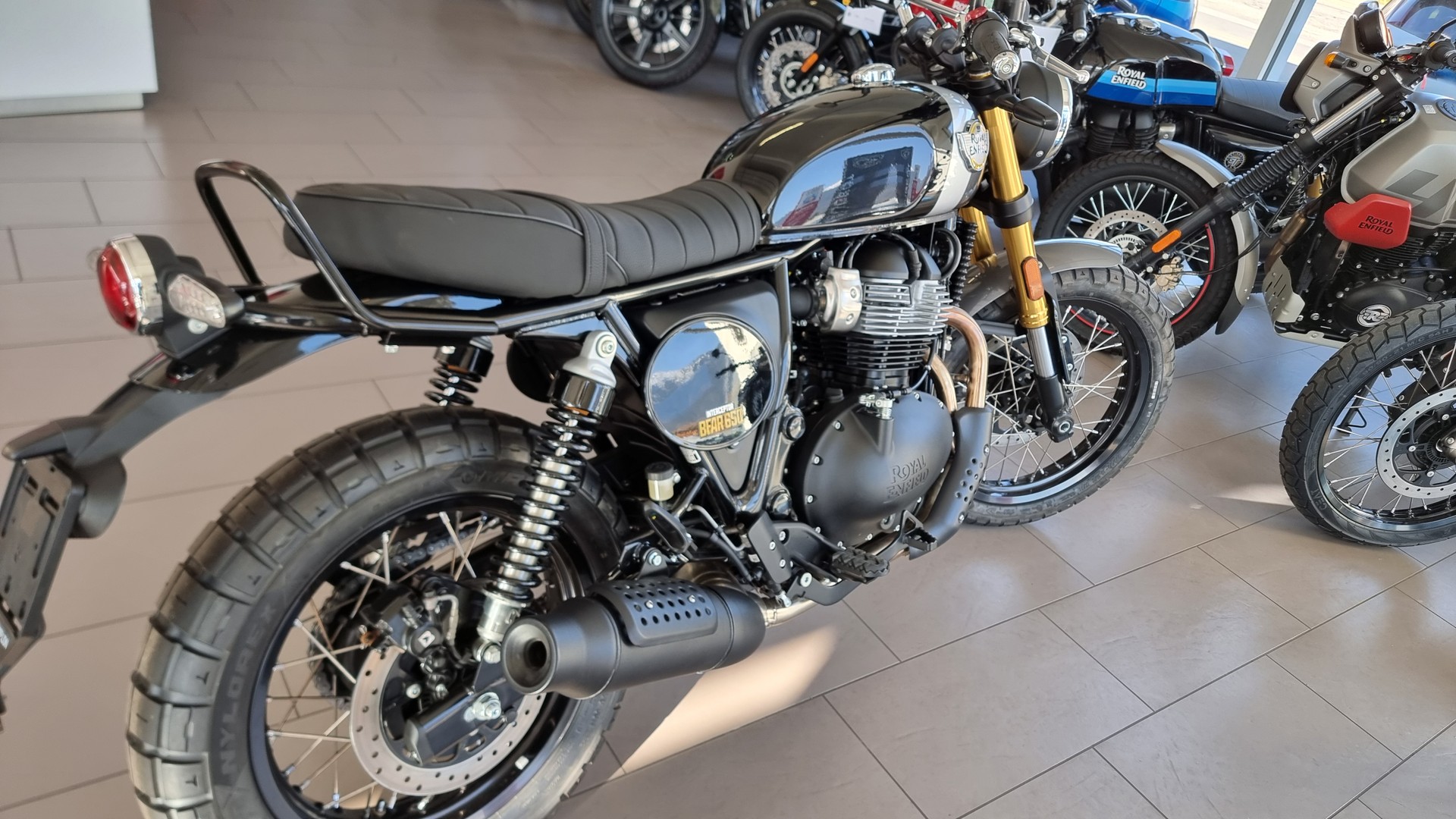 ROYAL ENFIELD BEAR  650-image-4