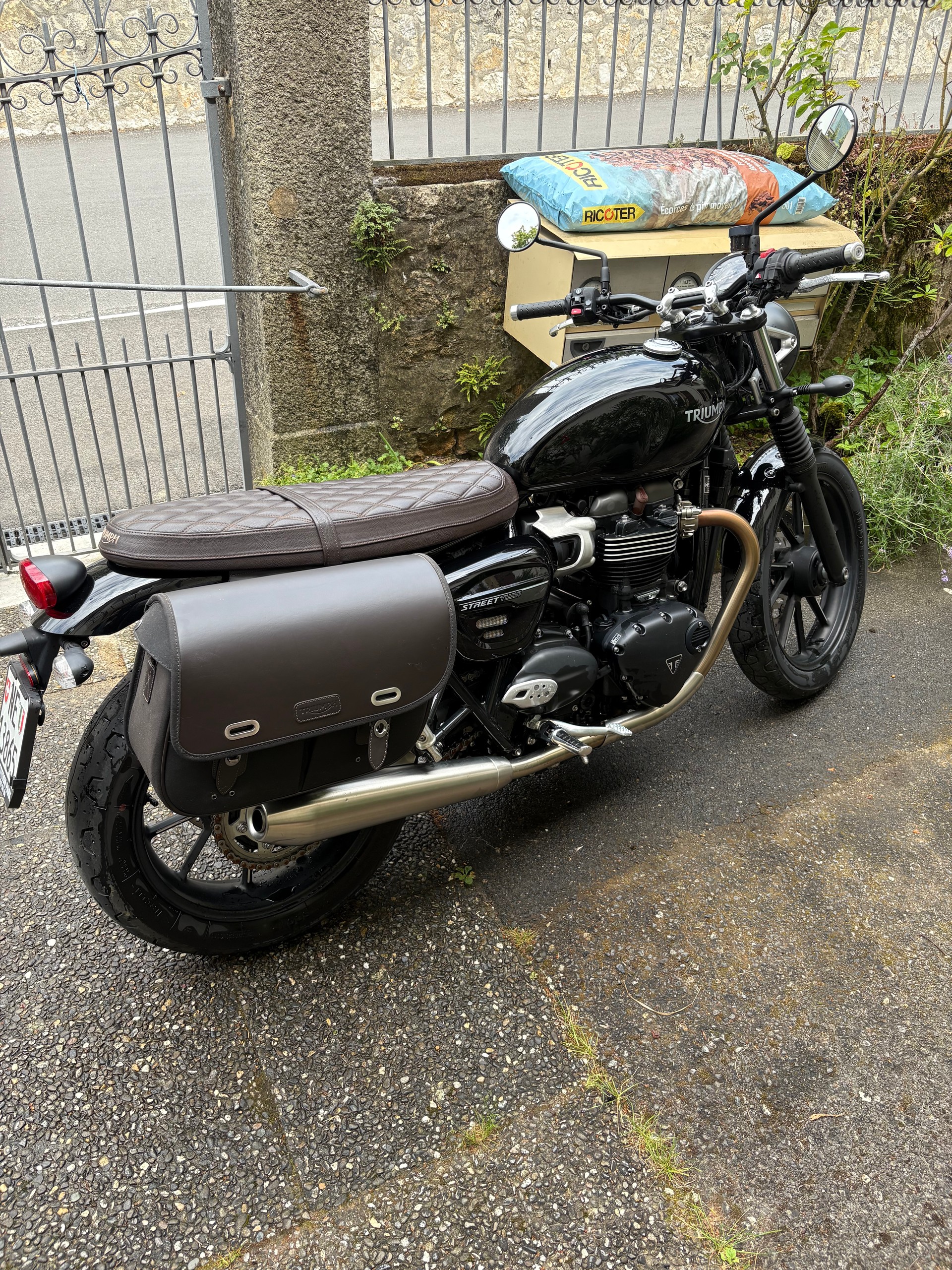 TRIUMPH Street Twin 900 Gold Line
