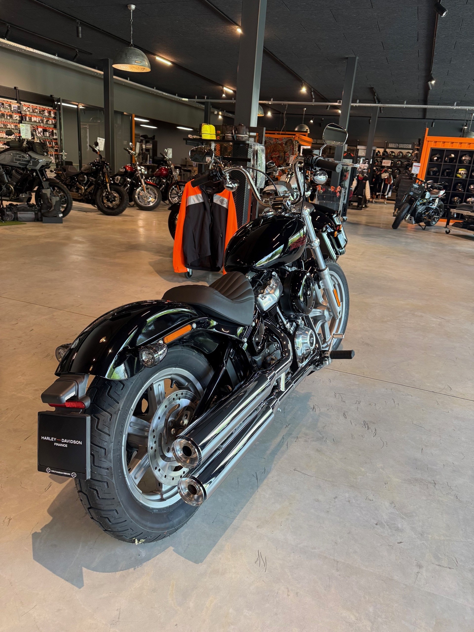 HARLEY-DAVIDSON FXST Softail Standard 107-showroom-element-2