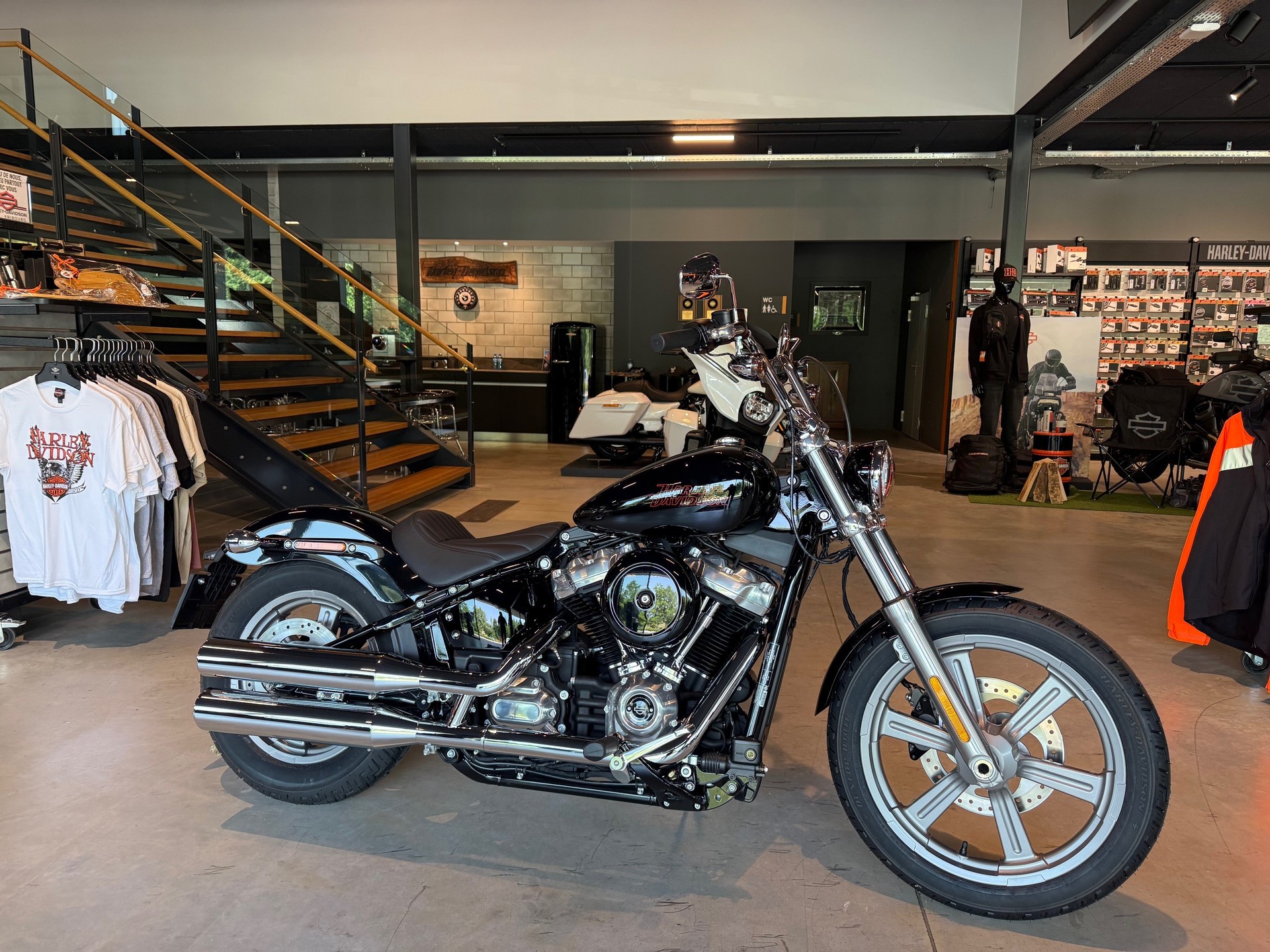 HARLEY-DAVIDSON FXST Softail Standard 107
